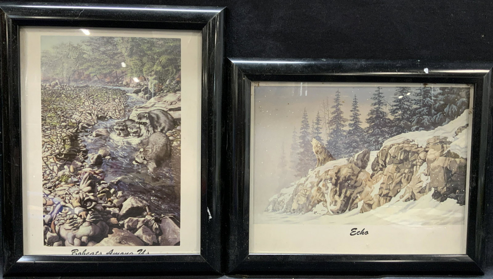 2 Framed Wild Animal Lithographs (1 of 9)