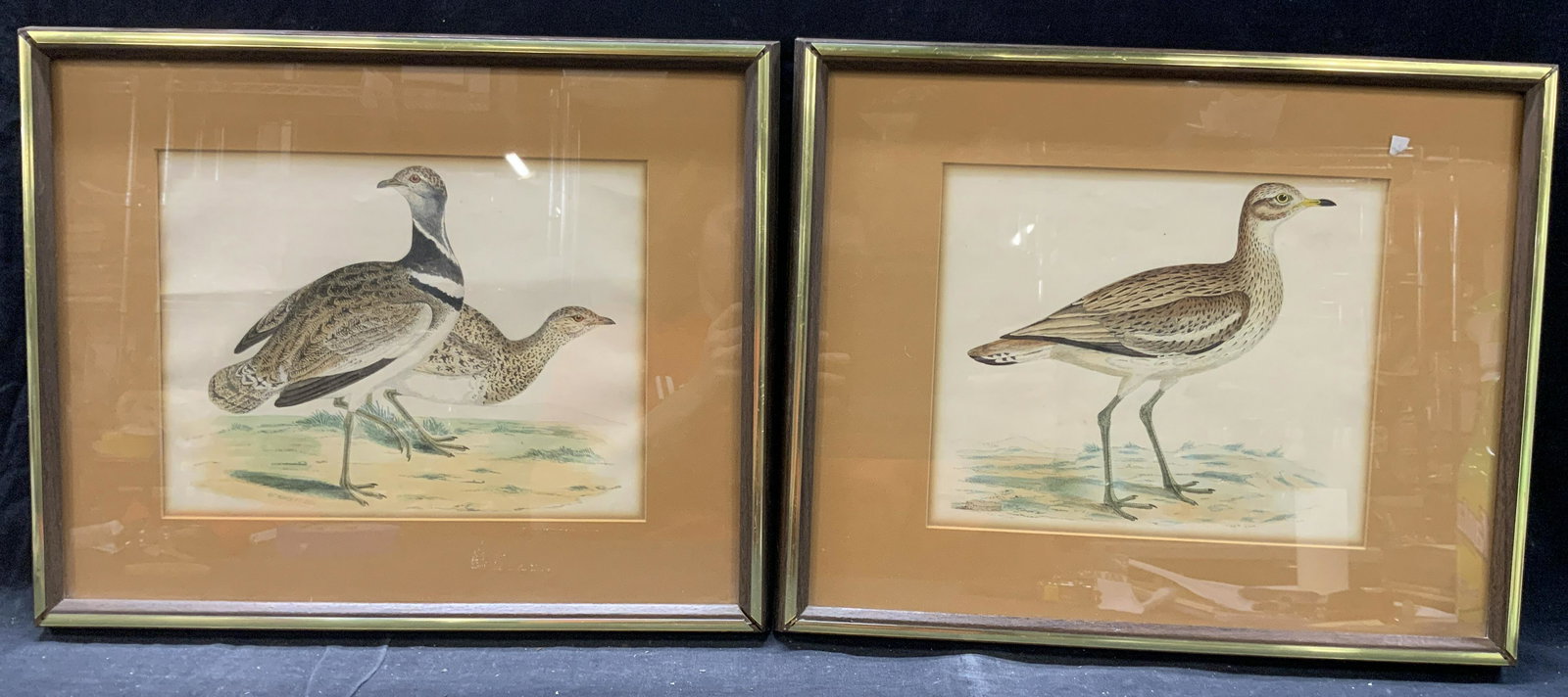 2 B. Fawcett Hand Colored Bird Etchings (1 of 11)