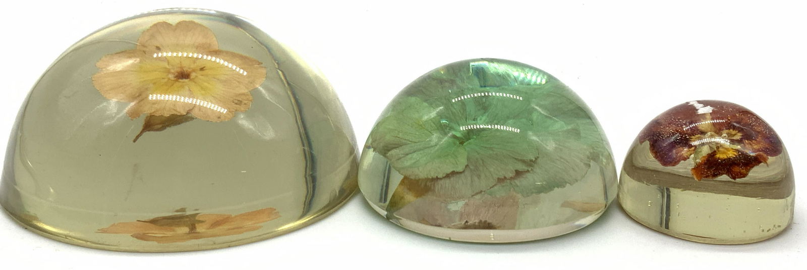 3 Vintage Pressed Flowers Composite Paperweights (1 of 8)