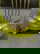 item-159037067=4