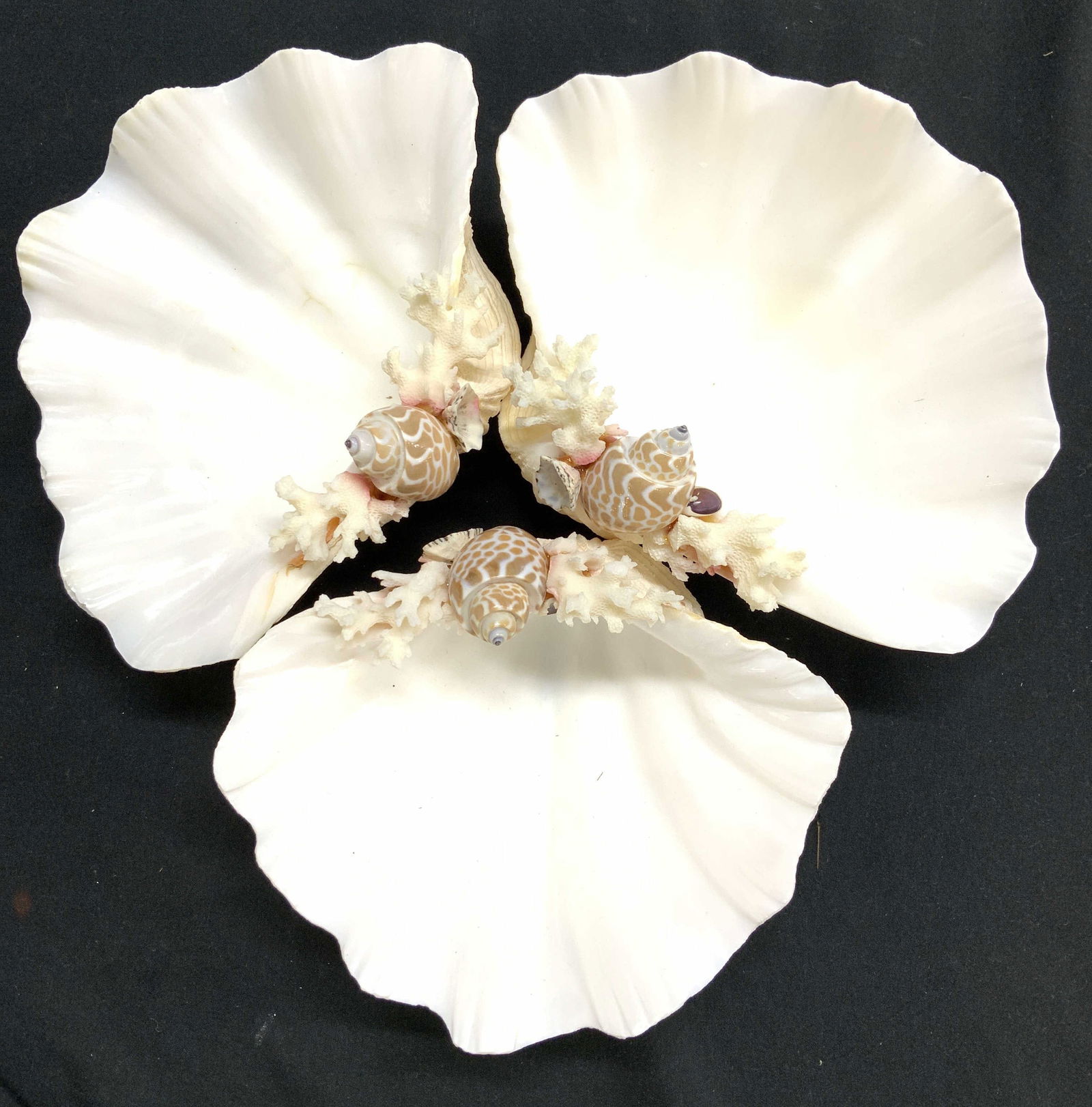 Set 3 Decorated Clam Shell Centerpiece (1 of 6)