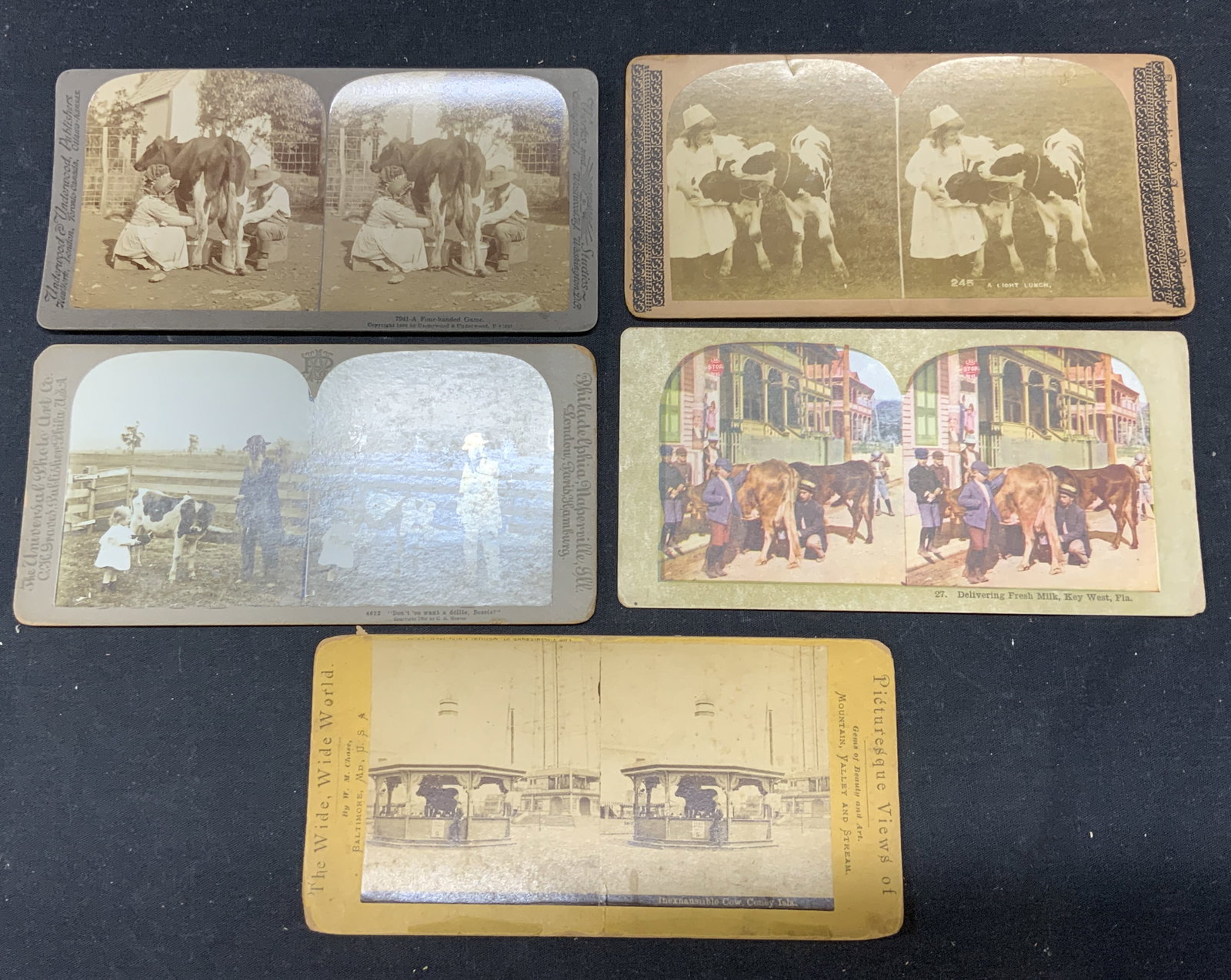 Lot 5 Antique Stereoscope Photo Slides (1 of 6)
