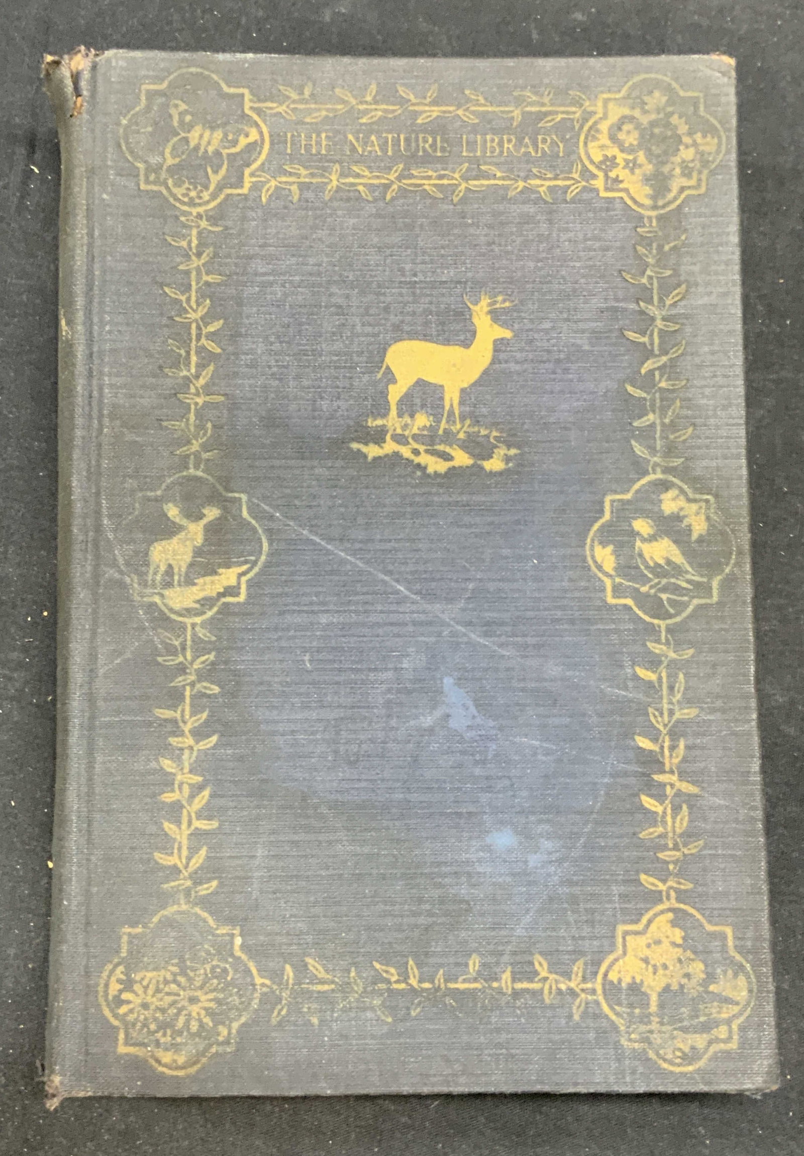 Animals Ernest Thompson Seton, Illustrated (1 of 9)