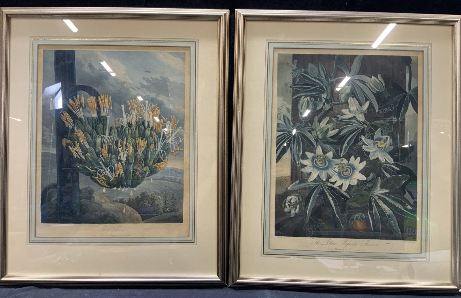 Pr Framed Antique Botanical Lithographs (1 of 12)