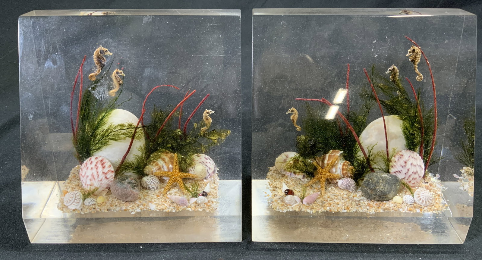 CLEARFLOAT Pair Acrylic Sea Life Bookends: Undersides read CLEARFLOAT. Bookends depicts a sea life scene. Each piece is acrylic with geometric shape. Pieces have seahorse, starfish, clam figures & more. Each measures approx 5 inches tall & wid