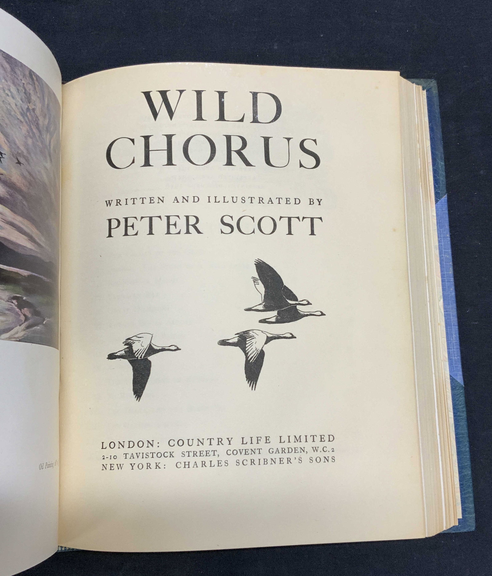Morning Flight Waterfowl Illustrated, 1948: Hardcover copy of Morning Flight A Book Of Waterfowl and Wild Chorus written and illustrated by Peter Scott. Two books bound in one edition. Published by Country Life Limited, 1948. General shelf wear