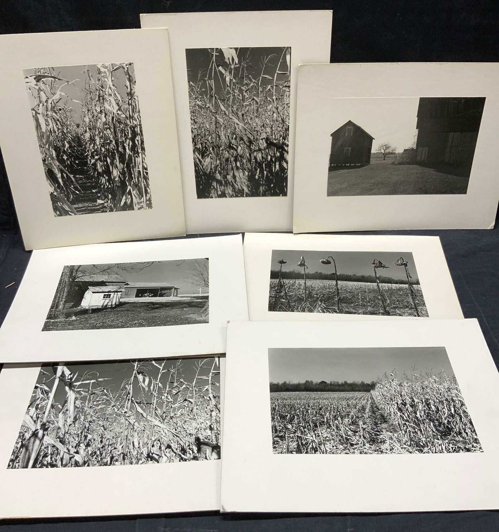 7 Mounted Black & White Farm Photos (1 of 9)