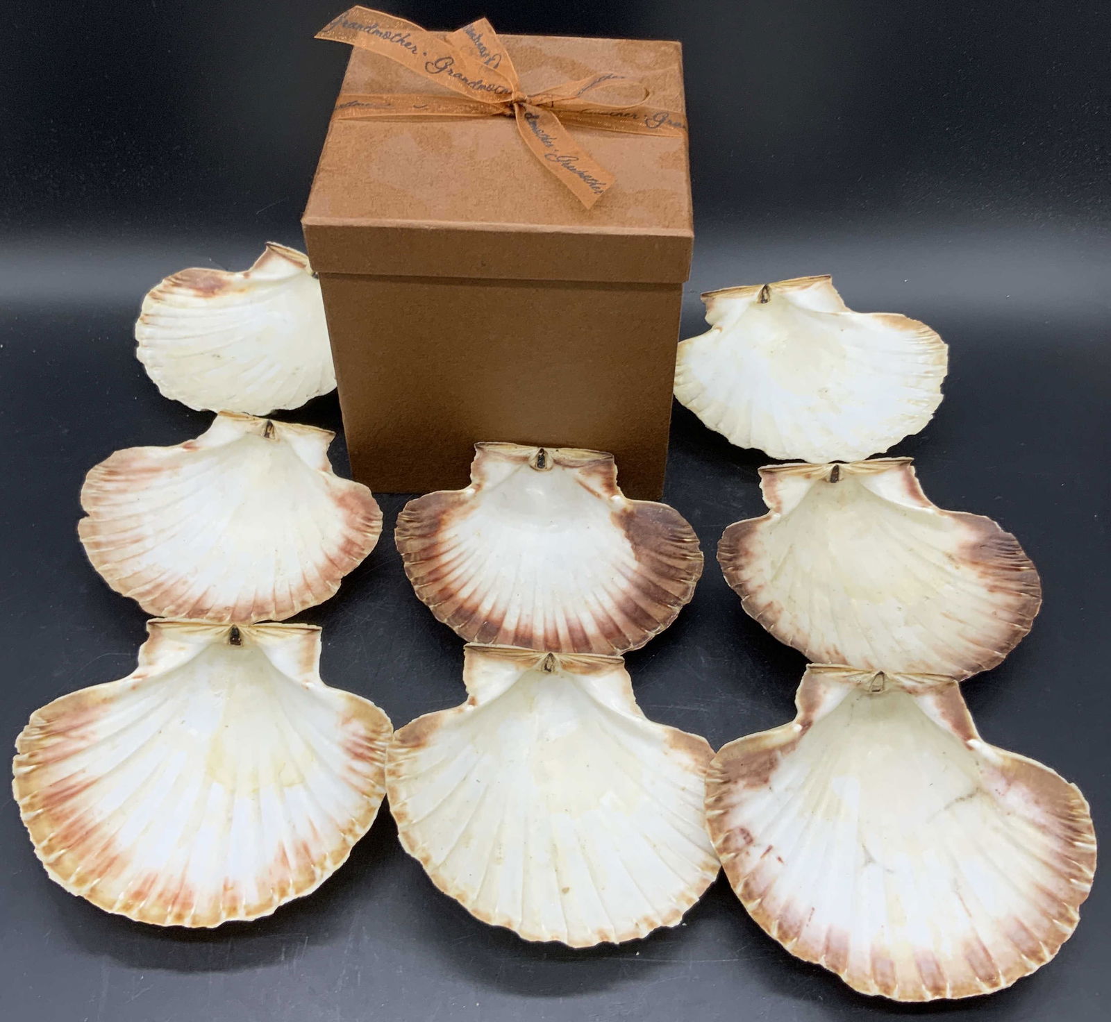 Set 8 Natural Scallop Shells, Box (1 of 9)