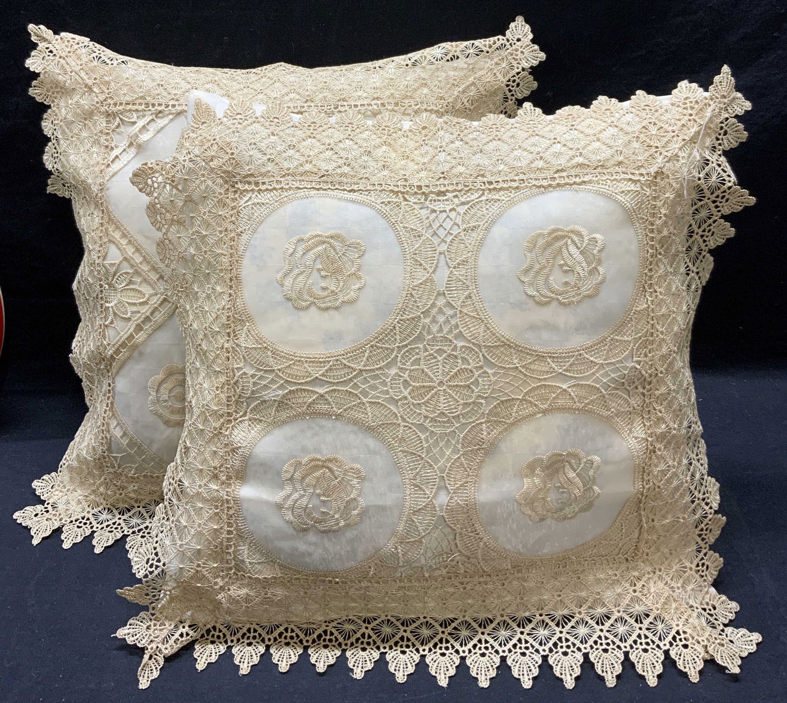 Pair Graphic Print Pillows & Lace Pillowcases (1 of 7)