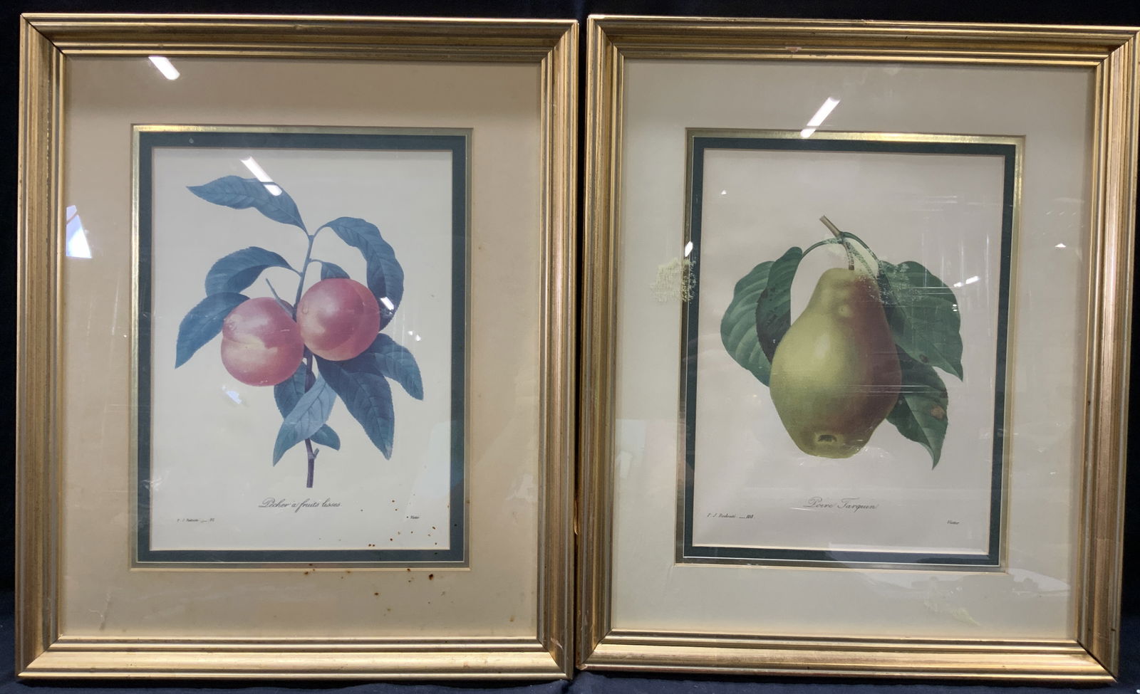 Pr Framed Botanical Fruits Lithographs (1 of 8)