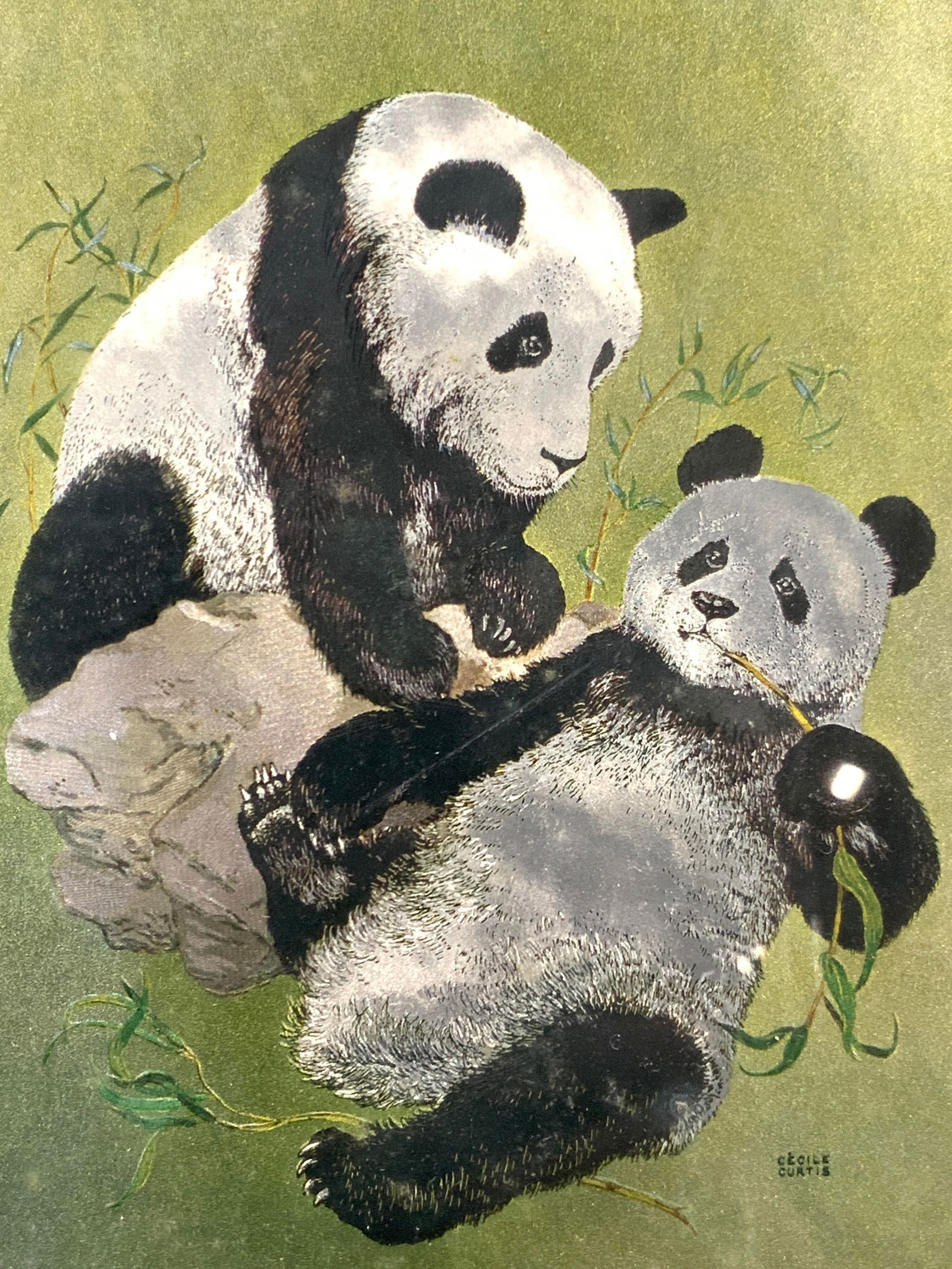 Cecile Curtis Metallic Panda Lithograph (1 of 8)