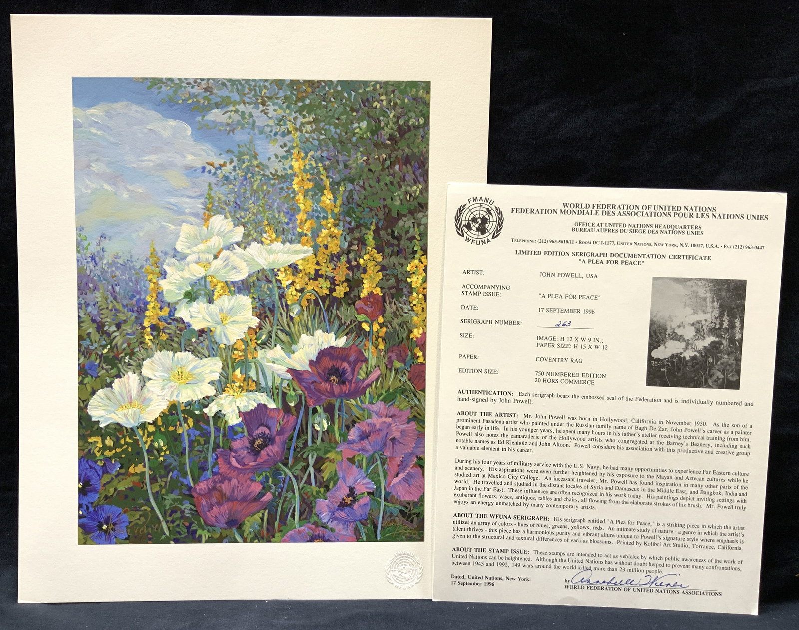 JOHN POWELL Signed & Stamped Serigraph, 1996 (1 of 13)