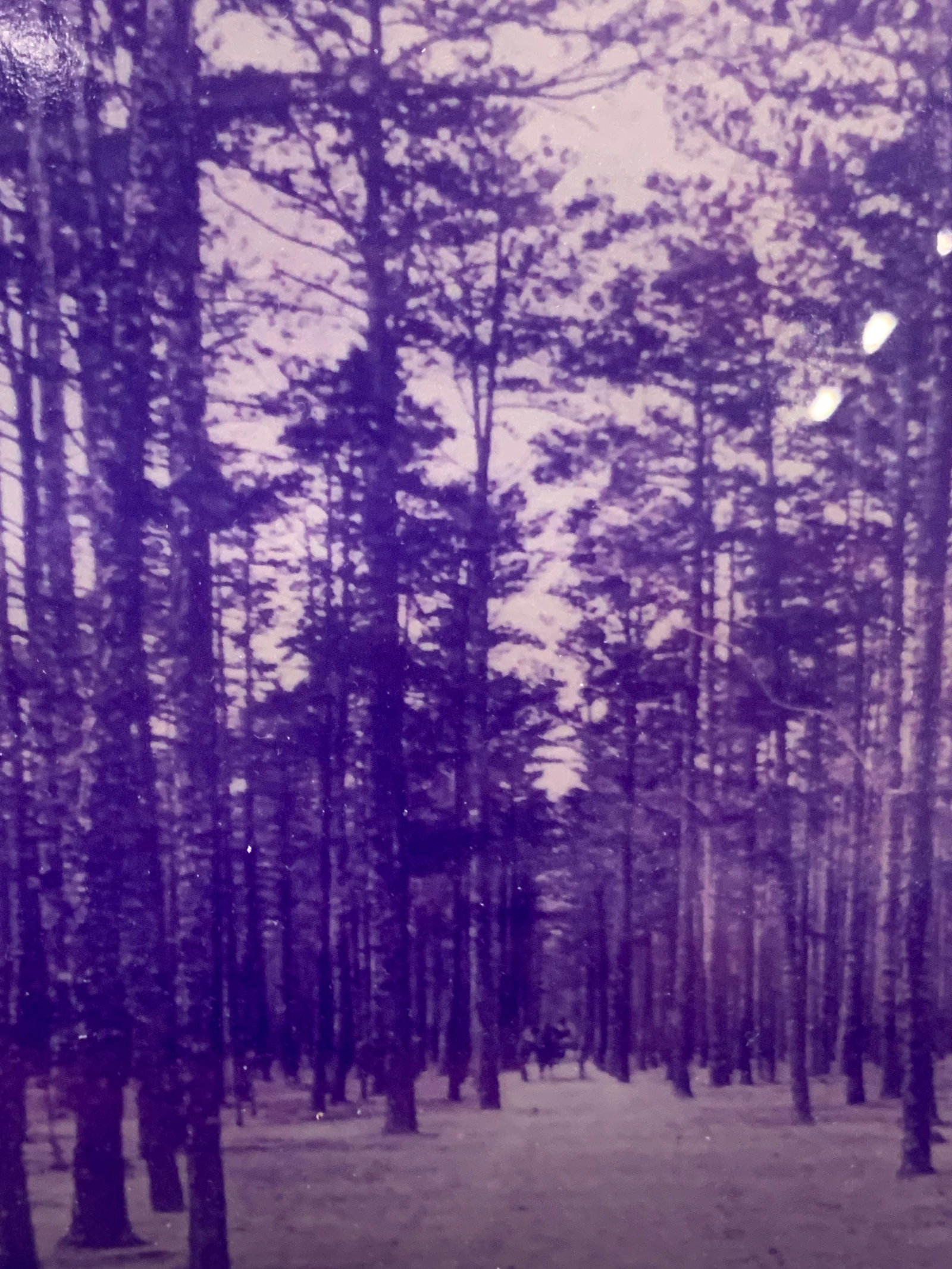 Framed LakeWood NJ Post Card Lithograph (1 of 8)