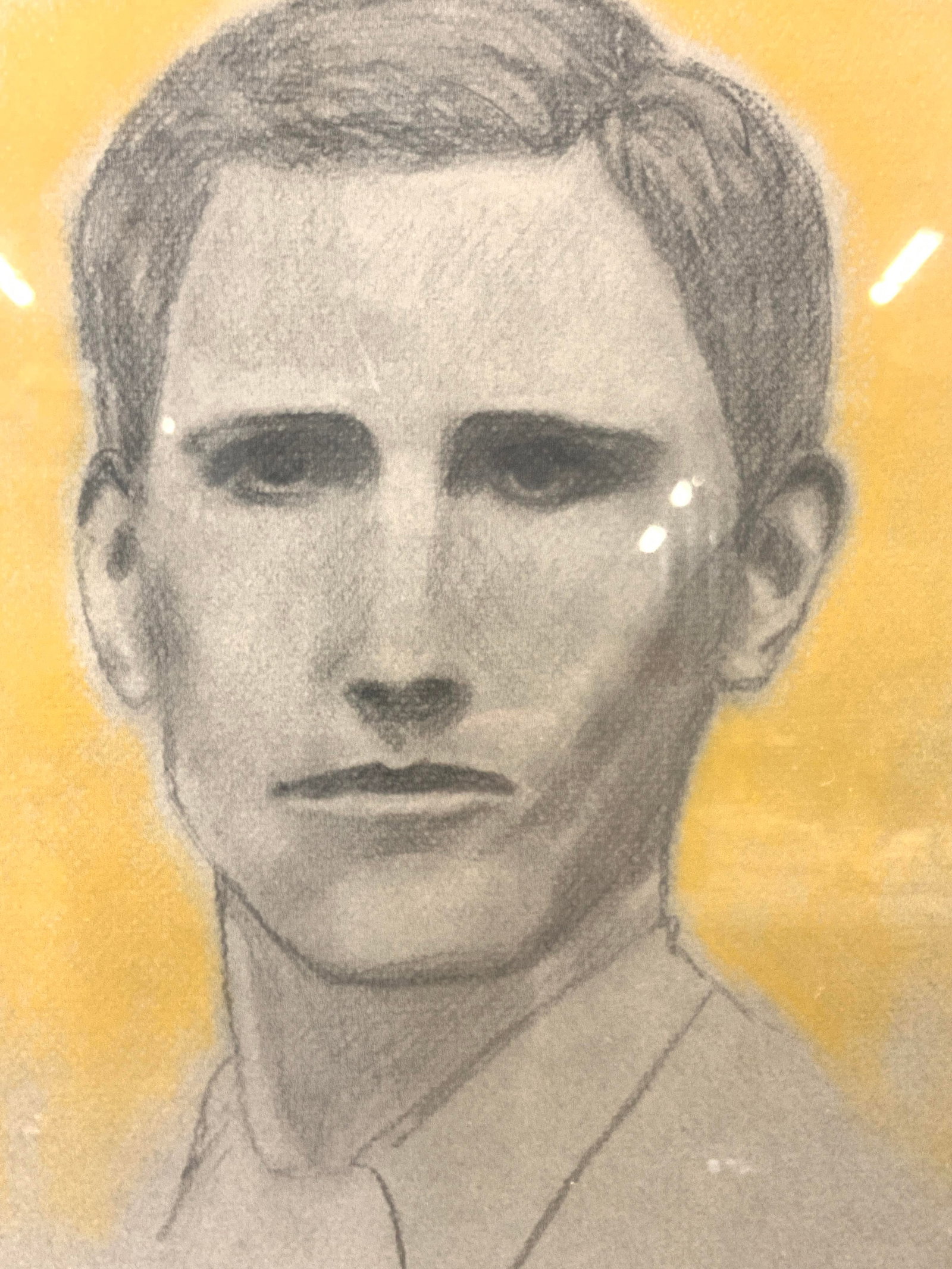 Ilene Stern Portrait Of Edward Horner: Backside reads Portrait of Edward Horner, Ilene Stern 1987. With short biography of Edward Horners life. Portrait is in graphite with yellow pastel background, Frame in wooden frame with white mat boa