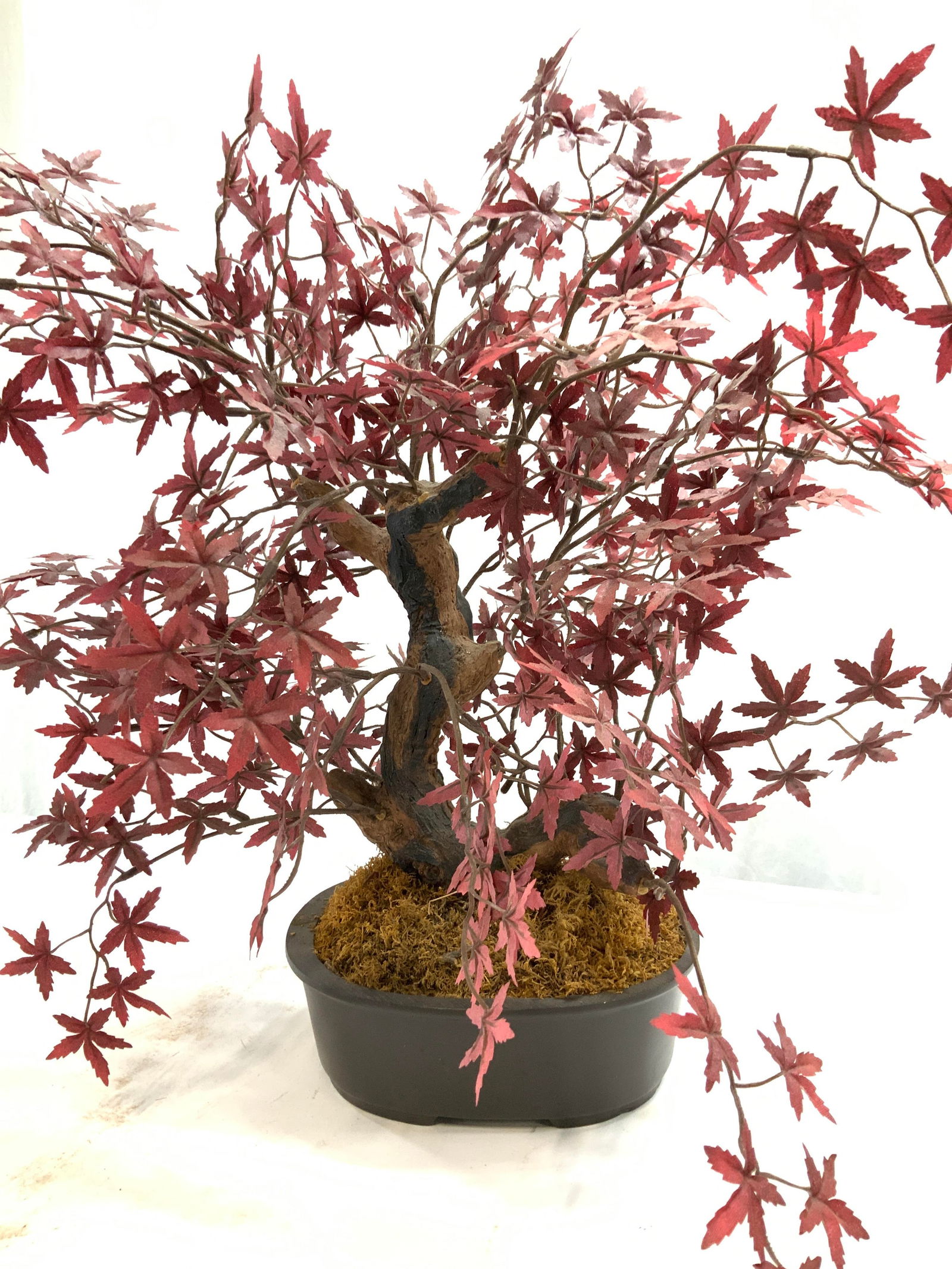 Faux Japanese Maple Tabletop Tree in Pot (1 of 6)