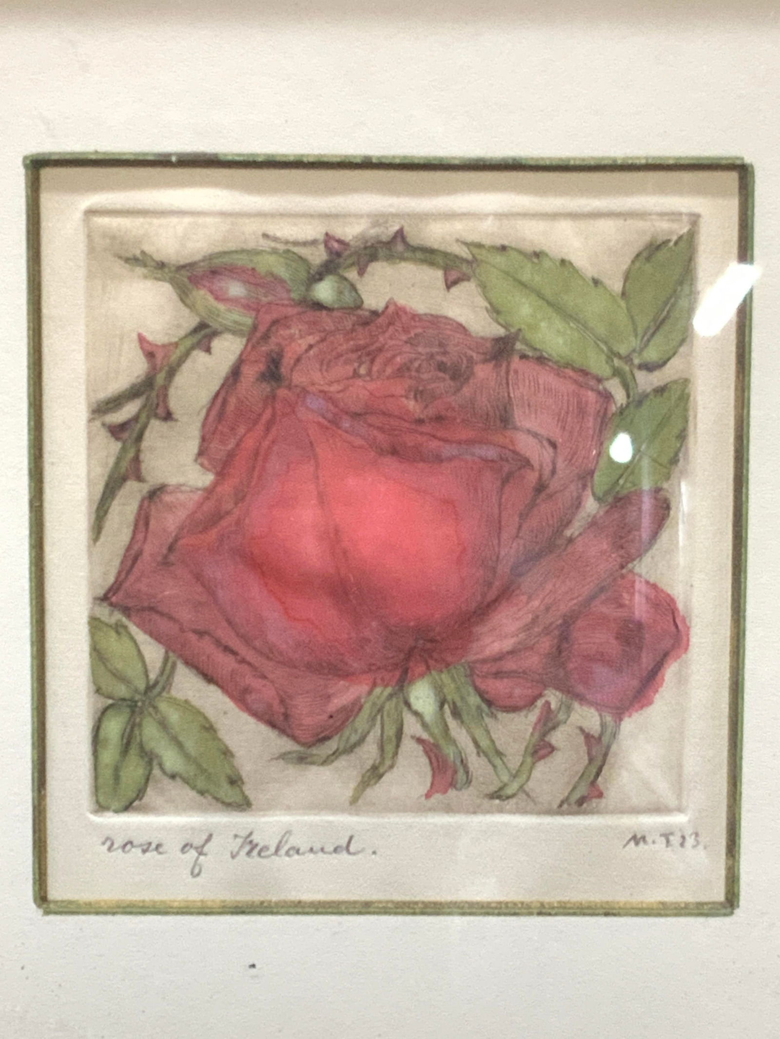 Signed M.T Colored Rose Of Ireland Plate Etching (1 of 10)