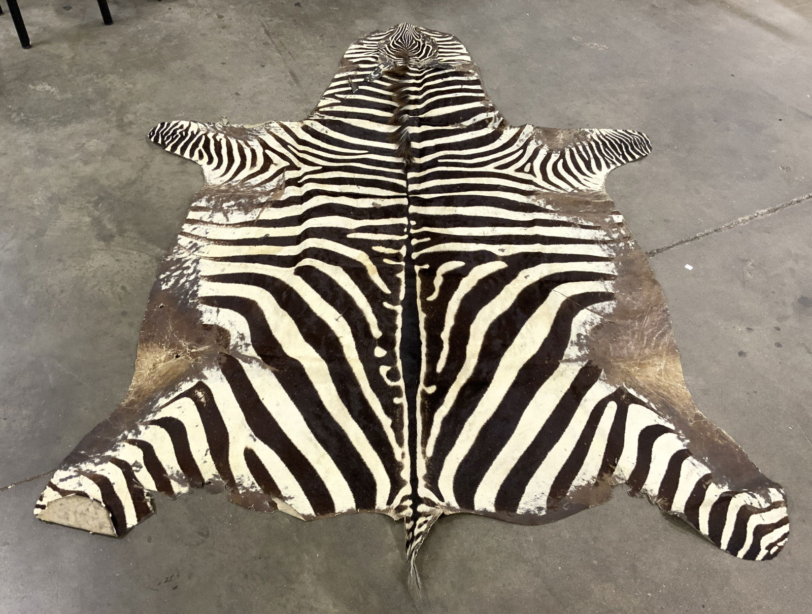 Vintage Zebra Hide Area Rug (1 of 6)