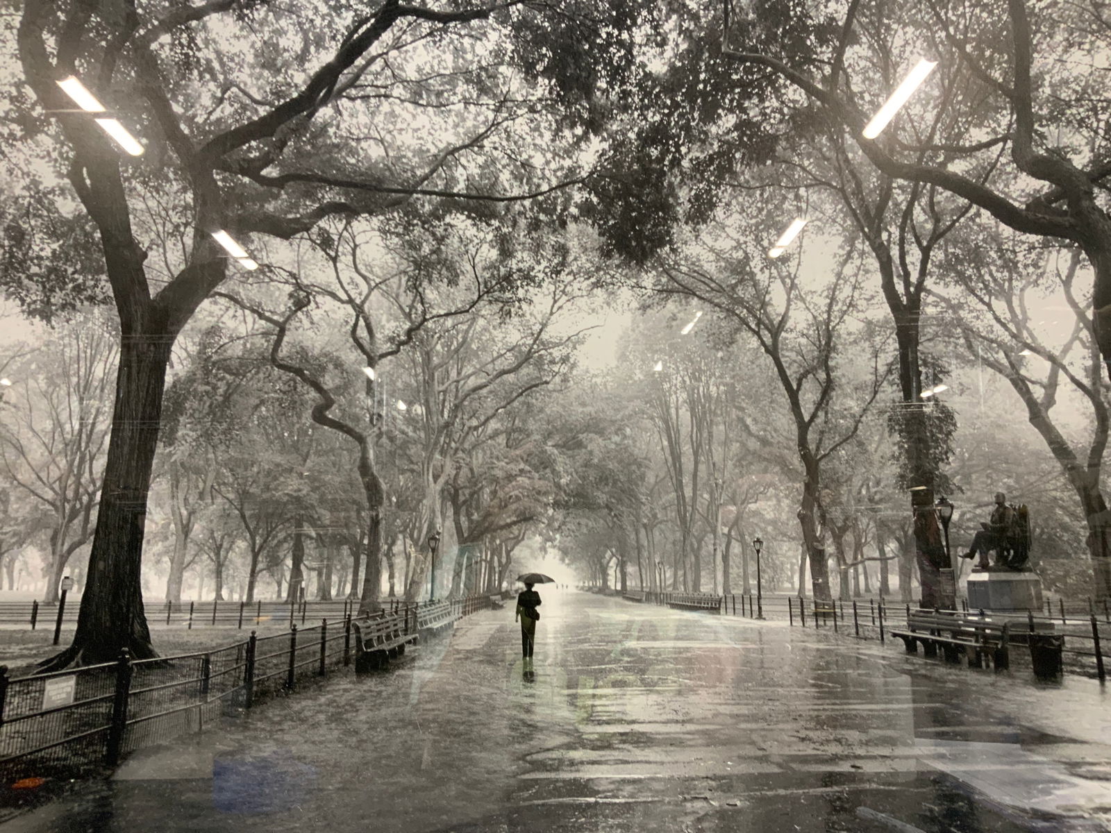 Black & White Central Park Photograph Lithograph (1 of 8)