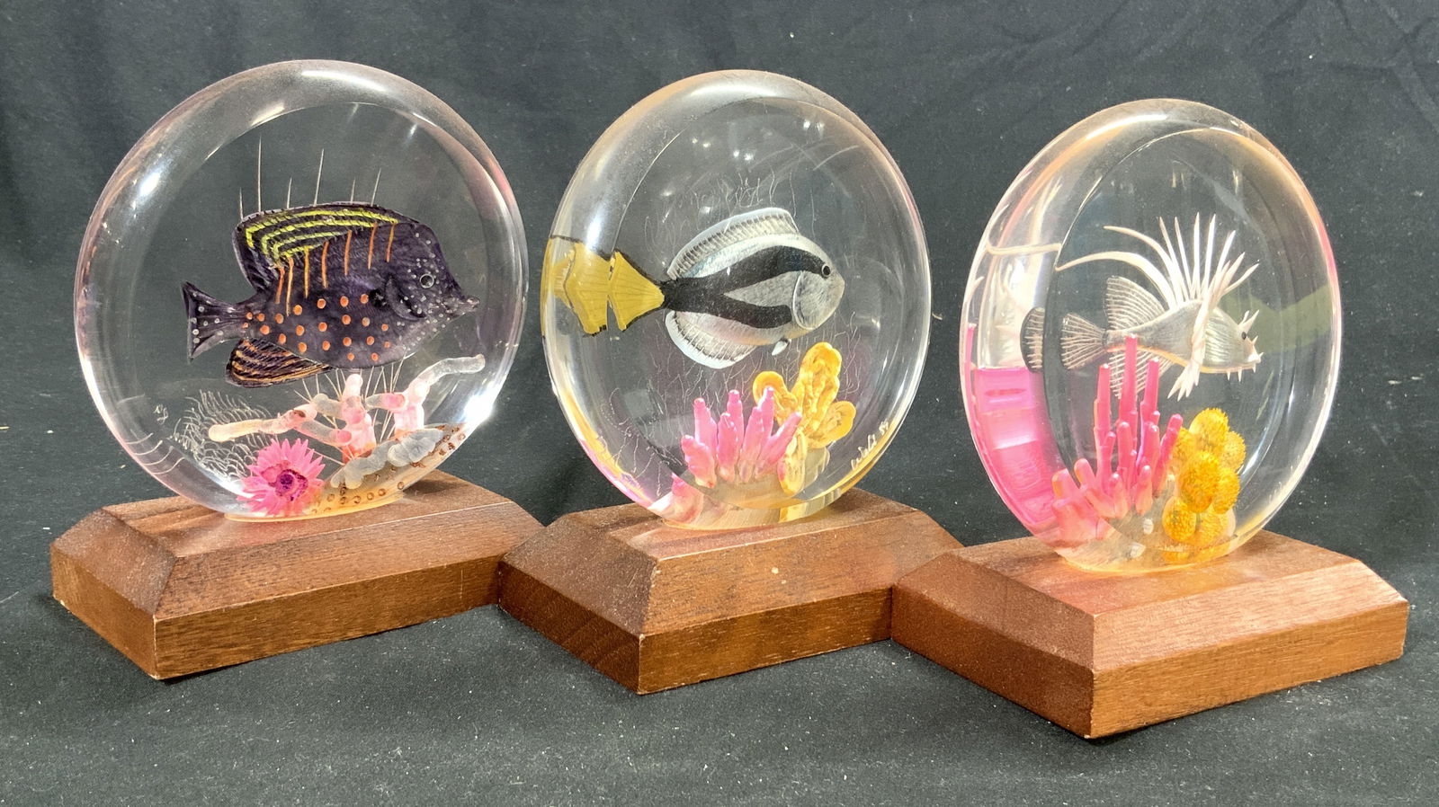 WALD TROPICAL TREASURES 3 Lucite Fish Sculptures (1 of 9)