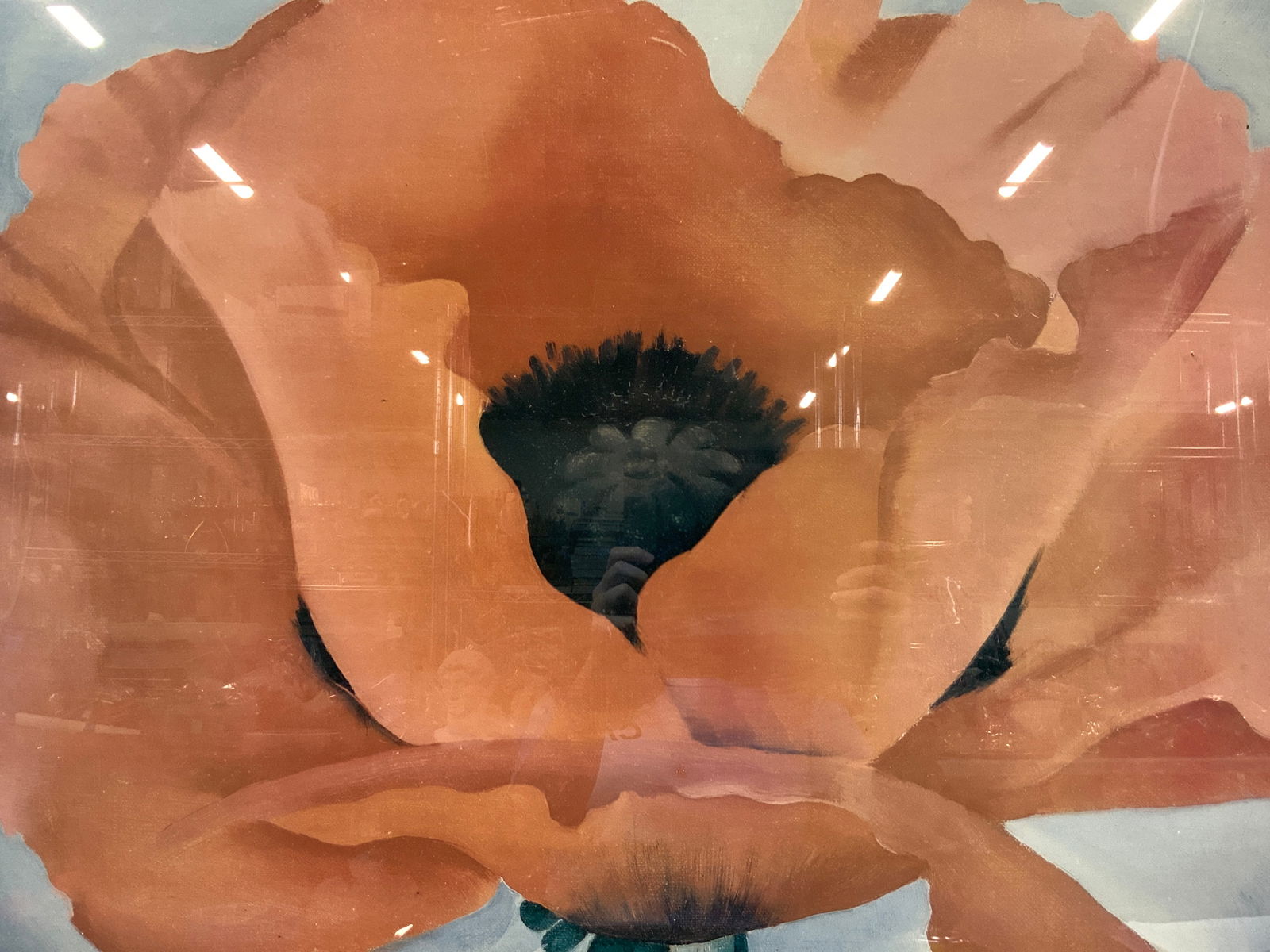 Georgia O’Keefe Hundred Flowers Lithograph (1 of 9)