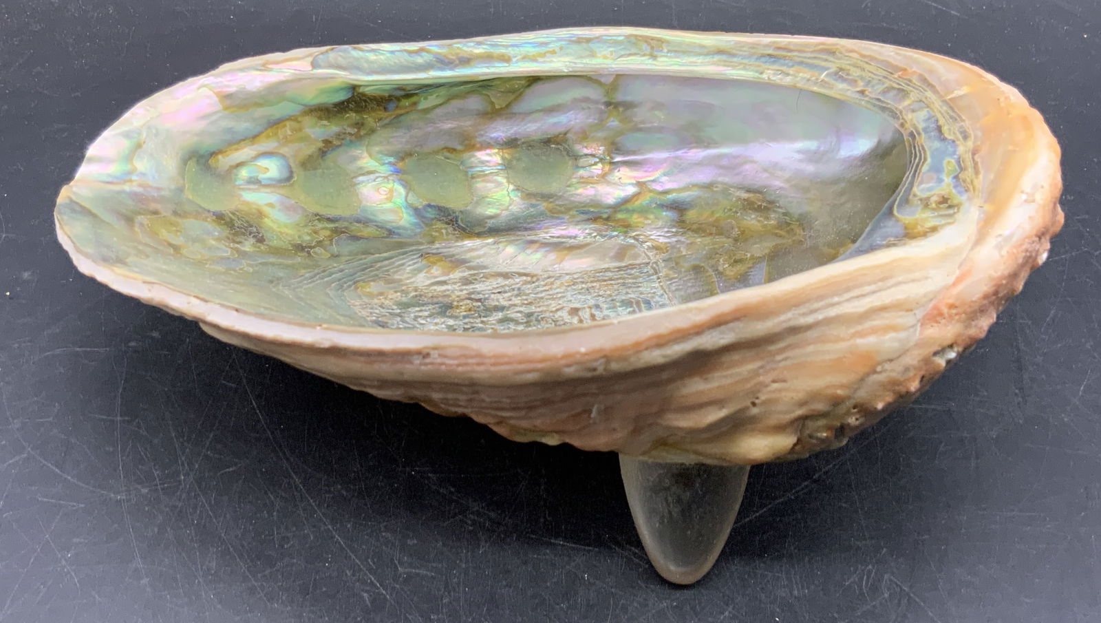 Oversized Footed Abalone Shell Trinket Dish (1 of 13)