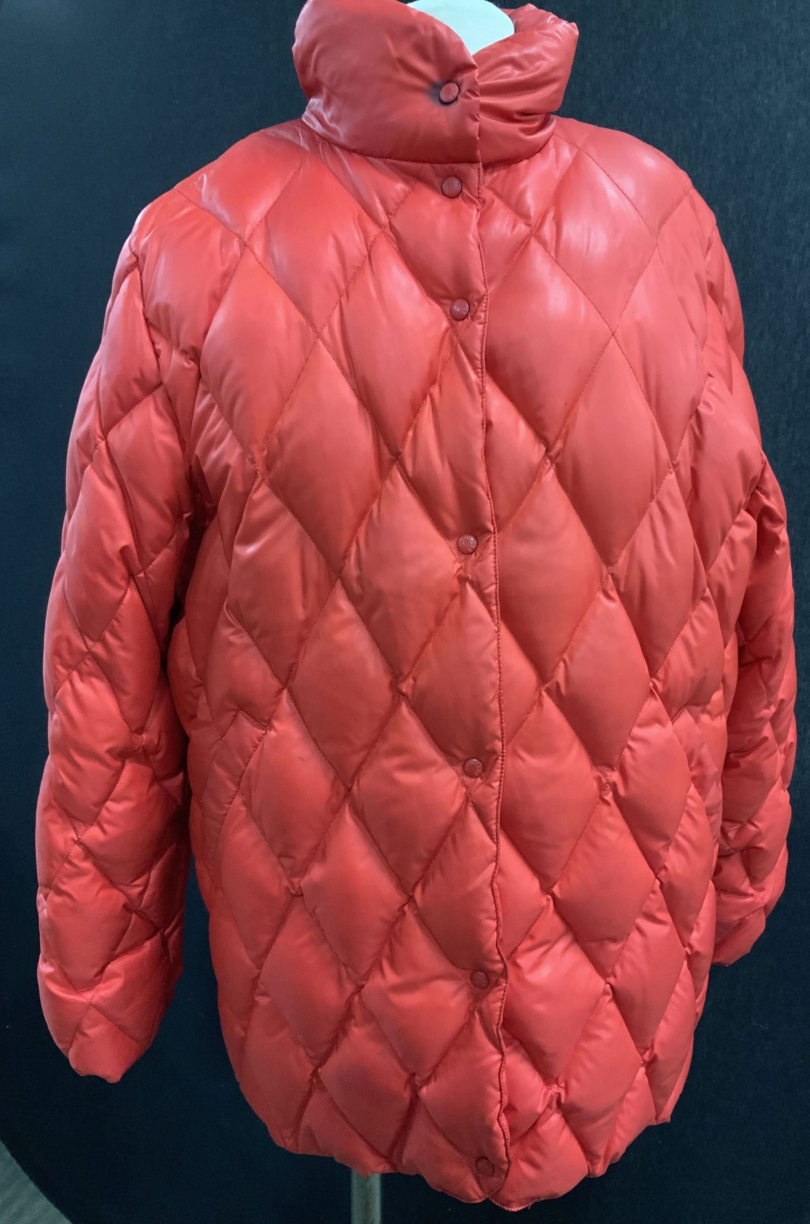 MONTCLER Lux New Down Puffer Jacket (1 of 9)