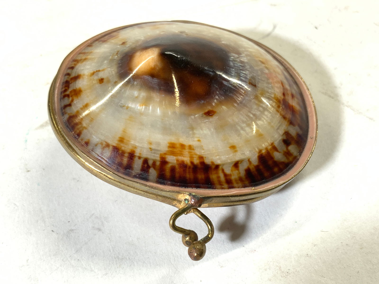 Vntg Hinged Shell Trinket Box (1 of 6)