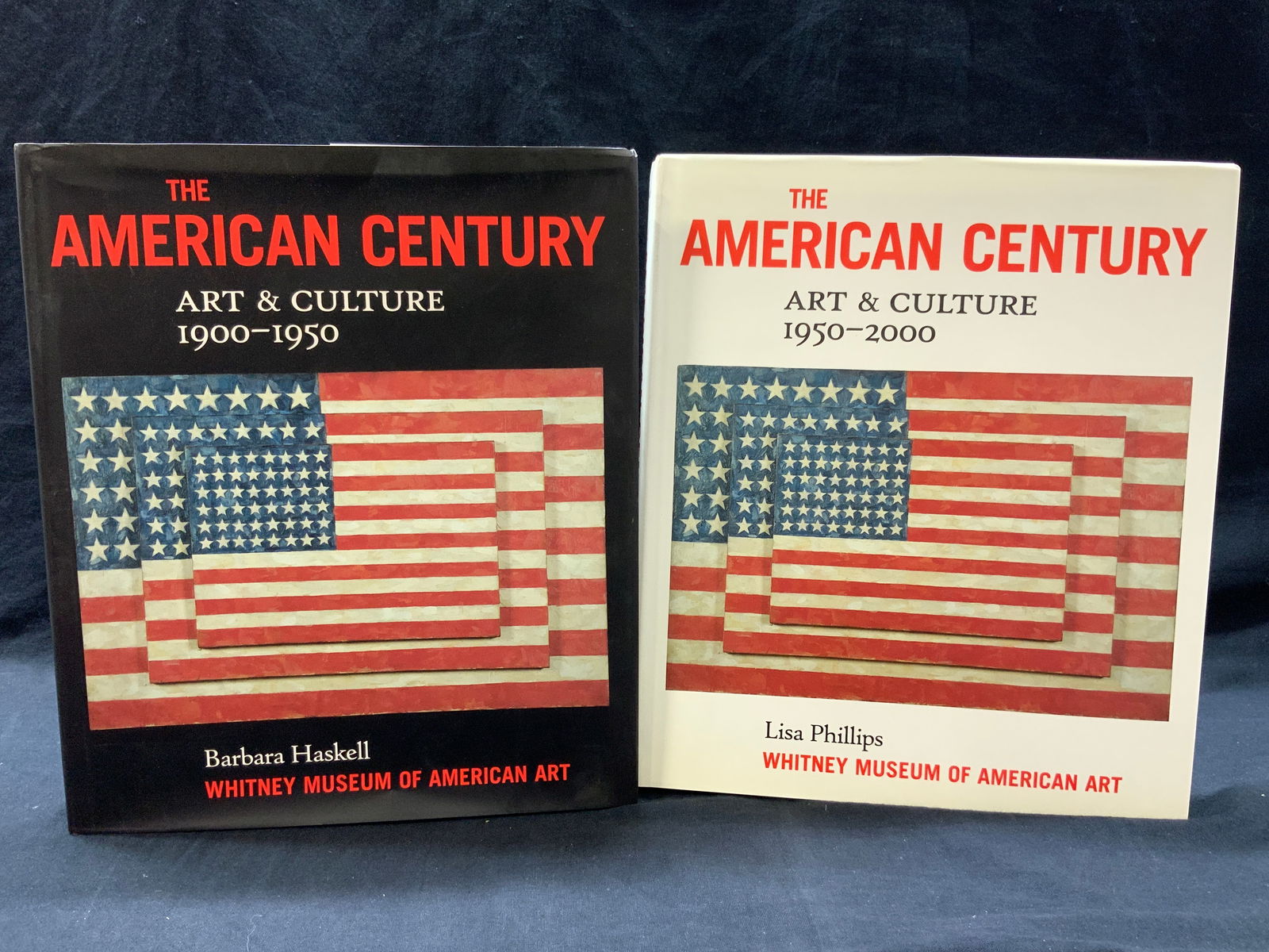 The American Century Art & Culture 1900-2000 (1 of 15)