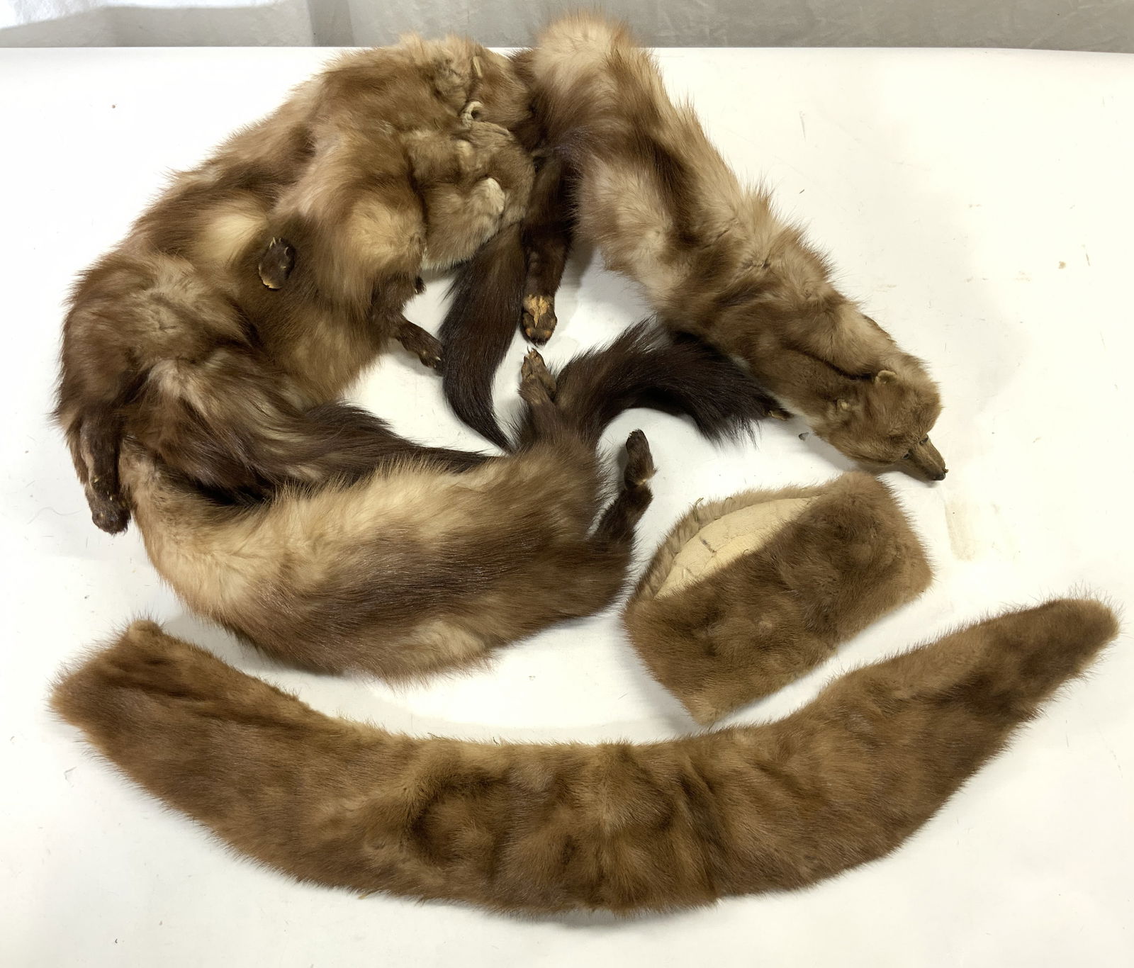 AMB Vtg Brown Stone Marten Fur Stole 5ft2in & More (1 of 7)