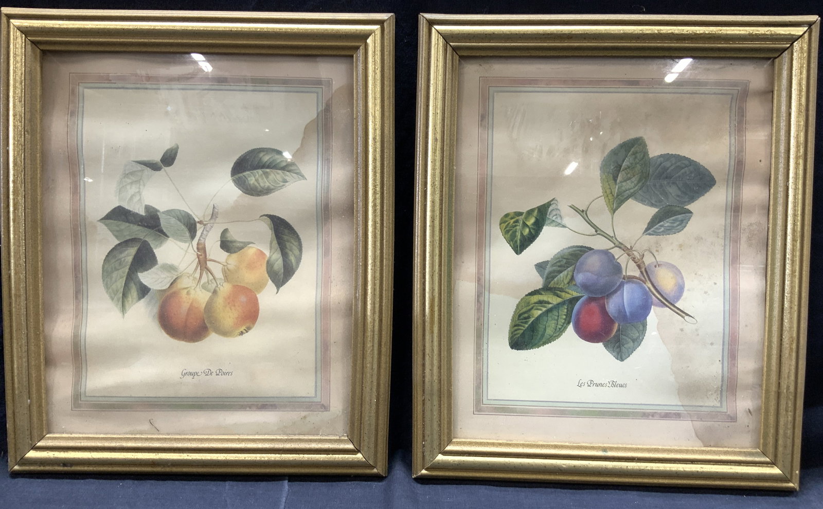 Pair Vintage Botanical Lithographs (1 of 10)
