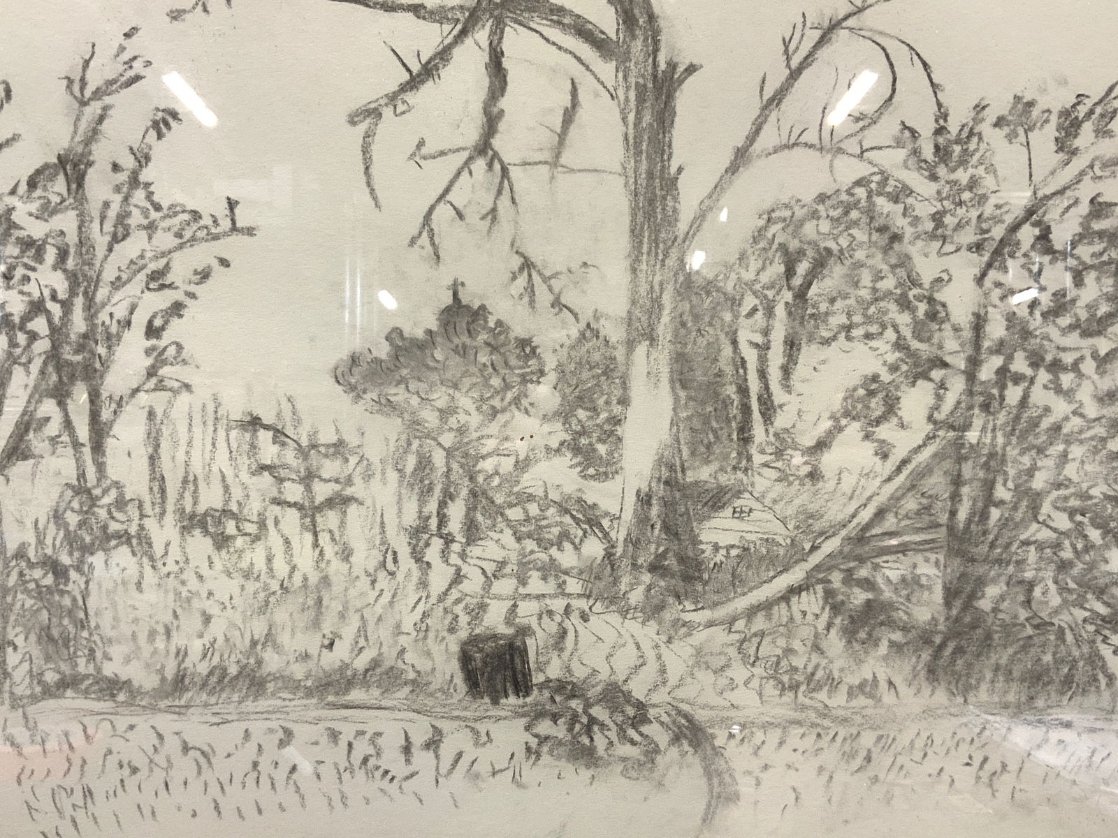 Forest Landscape Graphite Drawing (1 of 8)