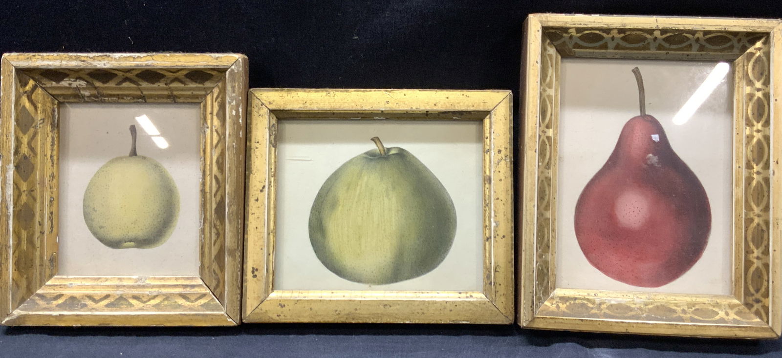 Lot 3 Framed Fruit Lithographs (1 of 8)