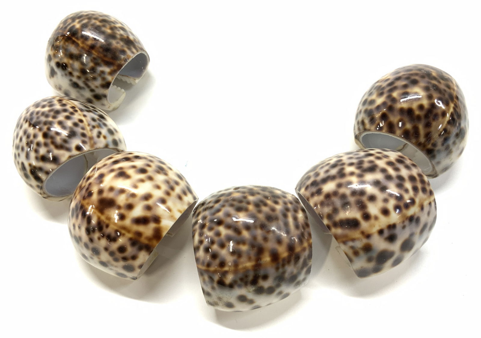 Set 6 Natural Tiger Cowrie Shell Napkin Rings, (1 of 6)