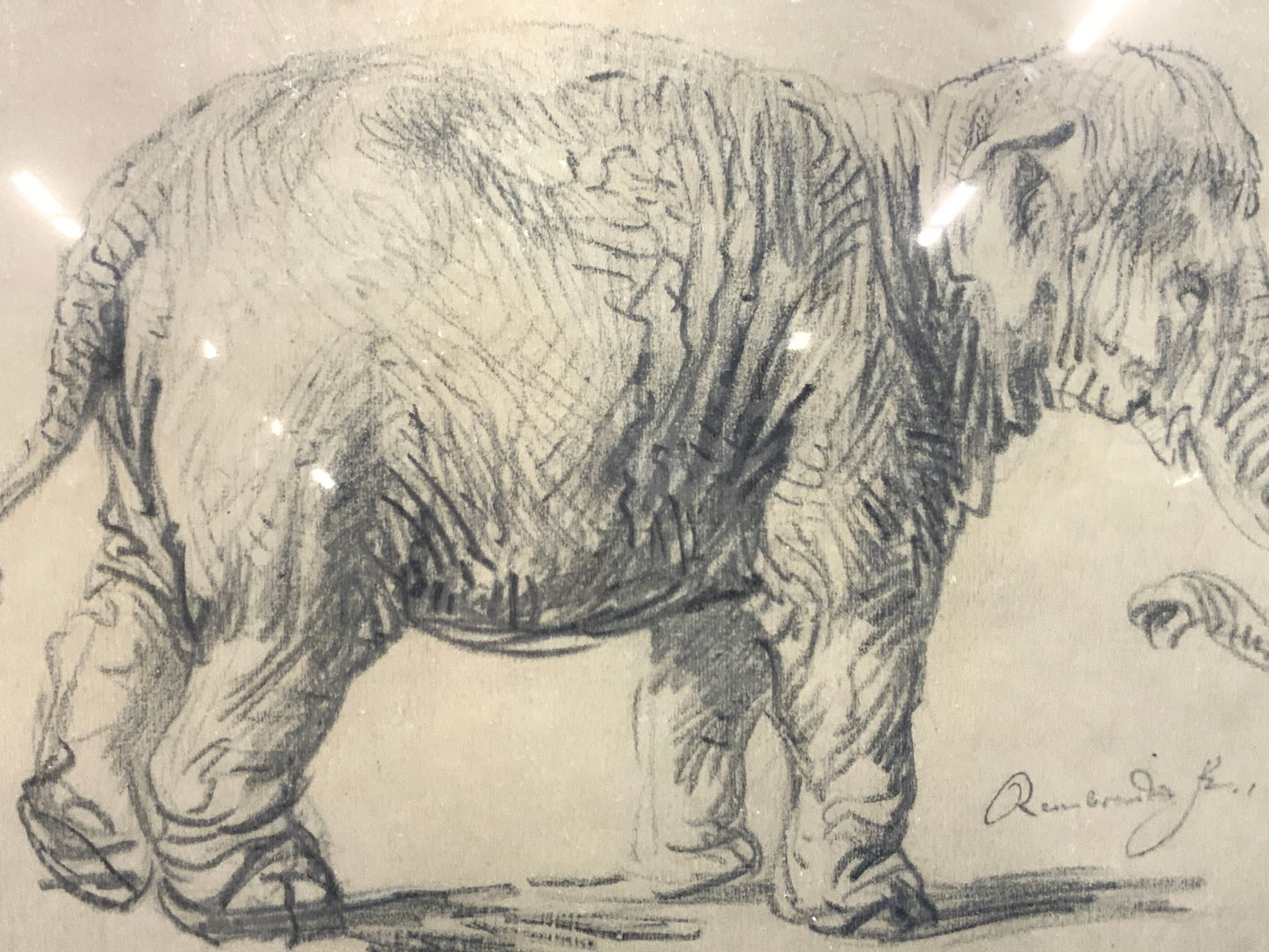 Rembrandt An Elephant 1637 Lithograph (1 of 11)