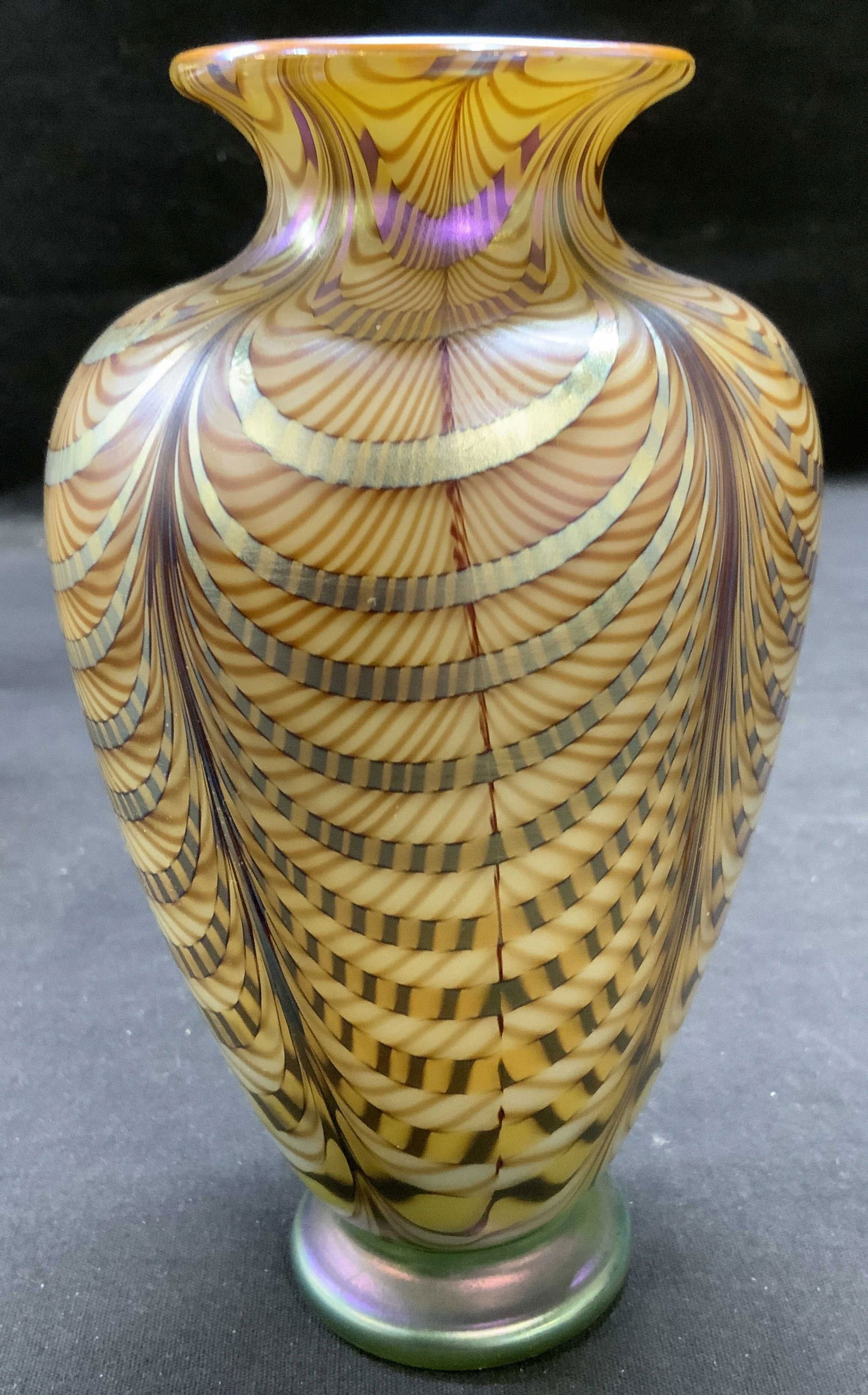Richard Gibbons Satava Studio Art Glass Vase (1 of 7)