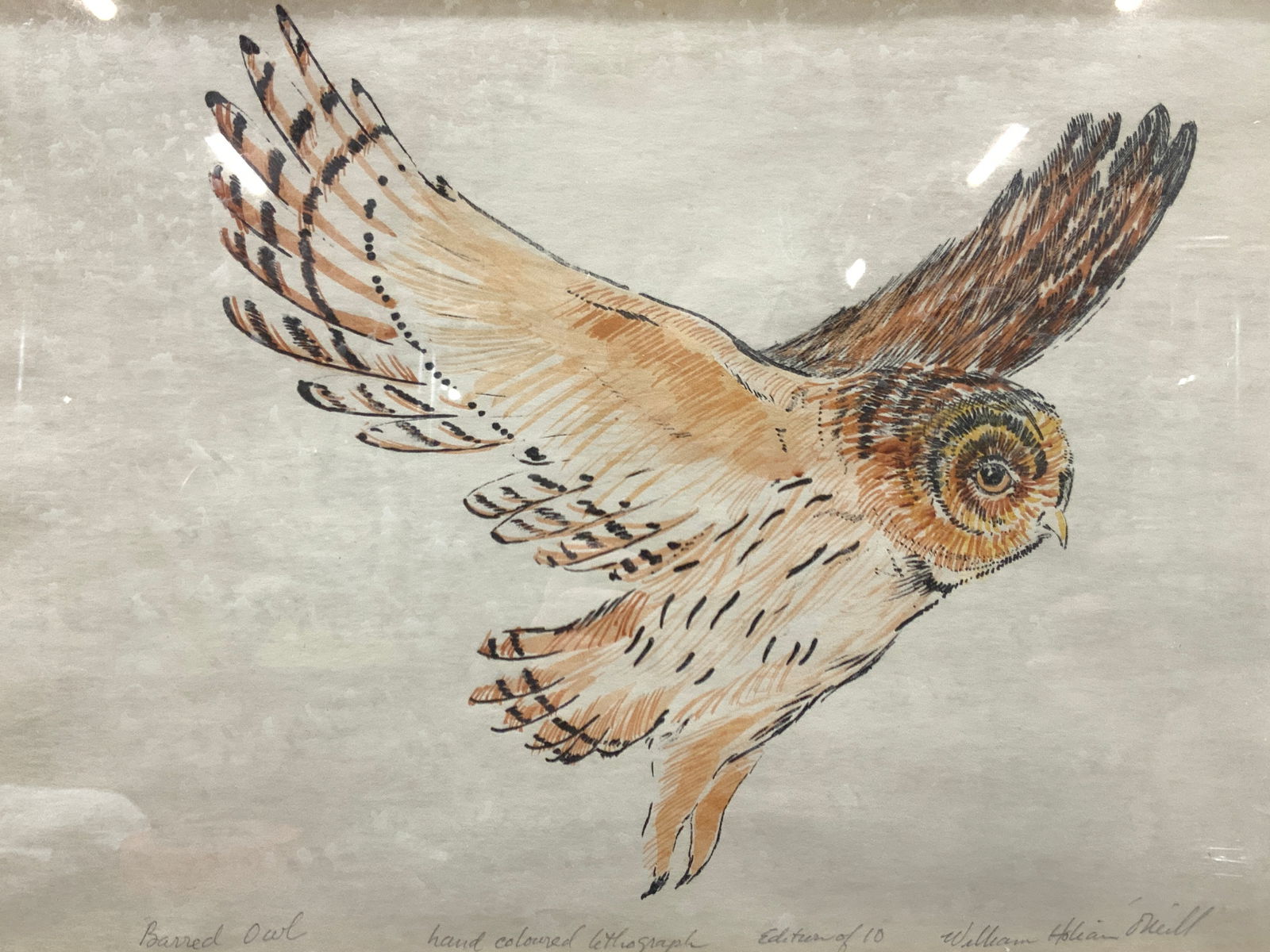 William Holian ONeil Hand Colored Lmt Ed Owl Litho (1 of 12)