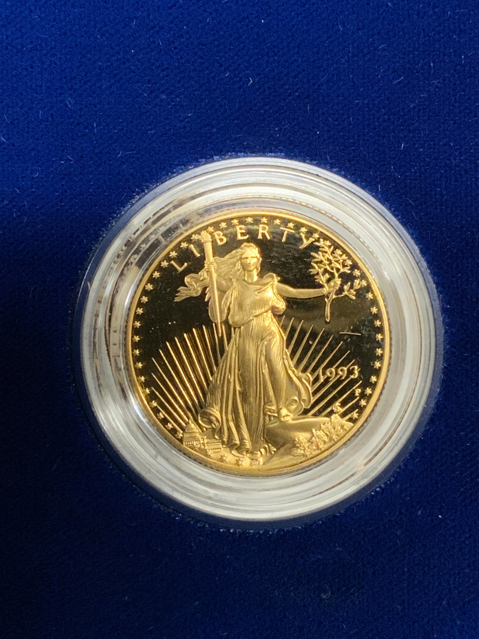 1993 Proof Half Ounce Gold Bullion Eagle Coin (1 of 7)