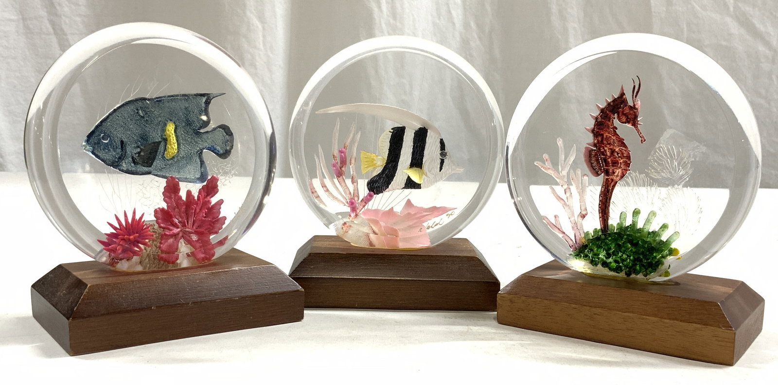TROPICAL TREASURES BY WALD Lot 3 Acrylic Fish Art: Tags on Undersides reads THE HAMILTON COLLECTION PRESENTS TROPICAL TREASURES BY WALD. Lot includes 3 pieces. Each are acrylic and have hand painted fish and sea plant detail. Each measures approximate