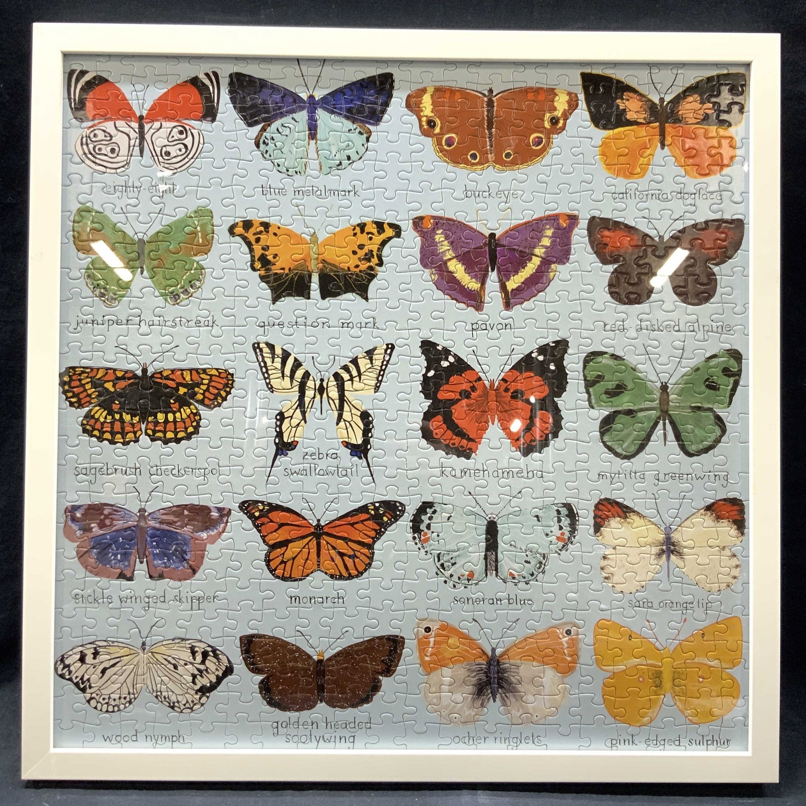 Frame & Mounted Butterflies Puzzle (1 of 8)