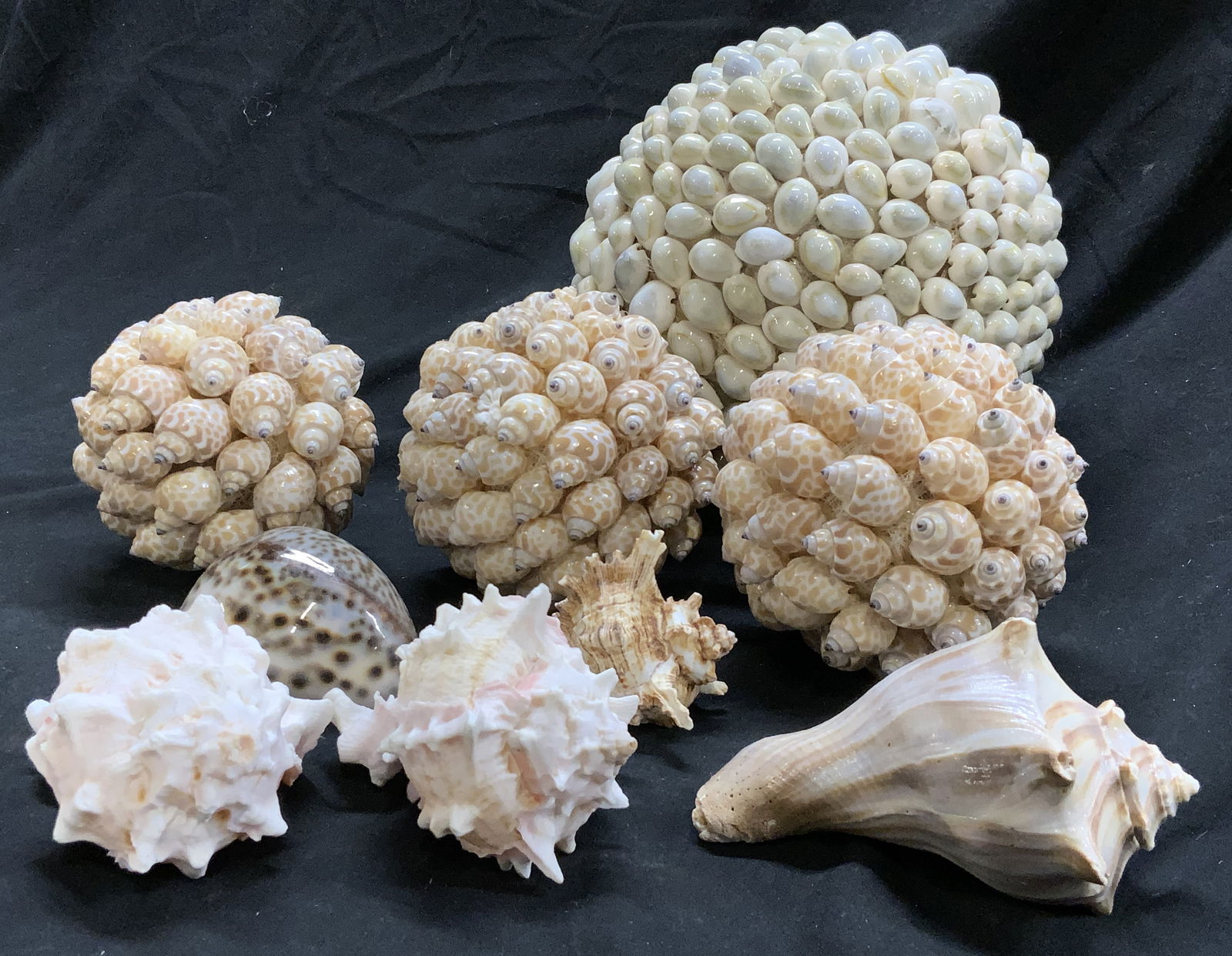 Hand Crafted Shell Table Decor, 9 (1 of 6)