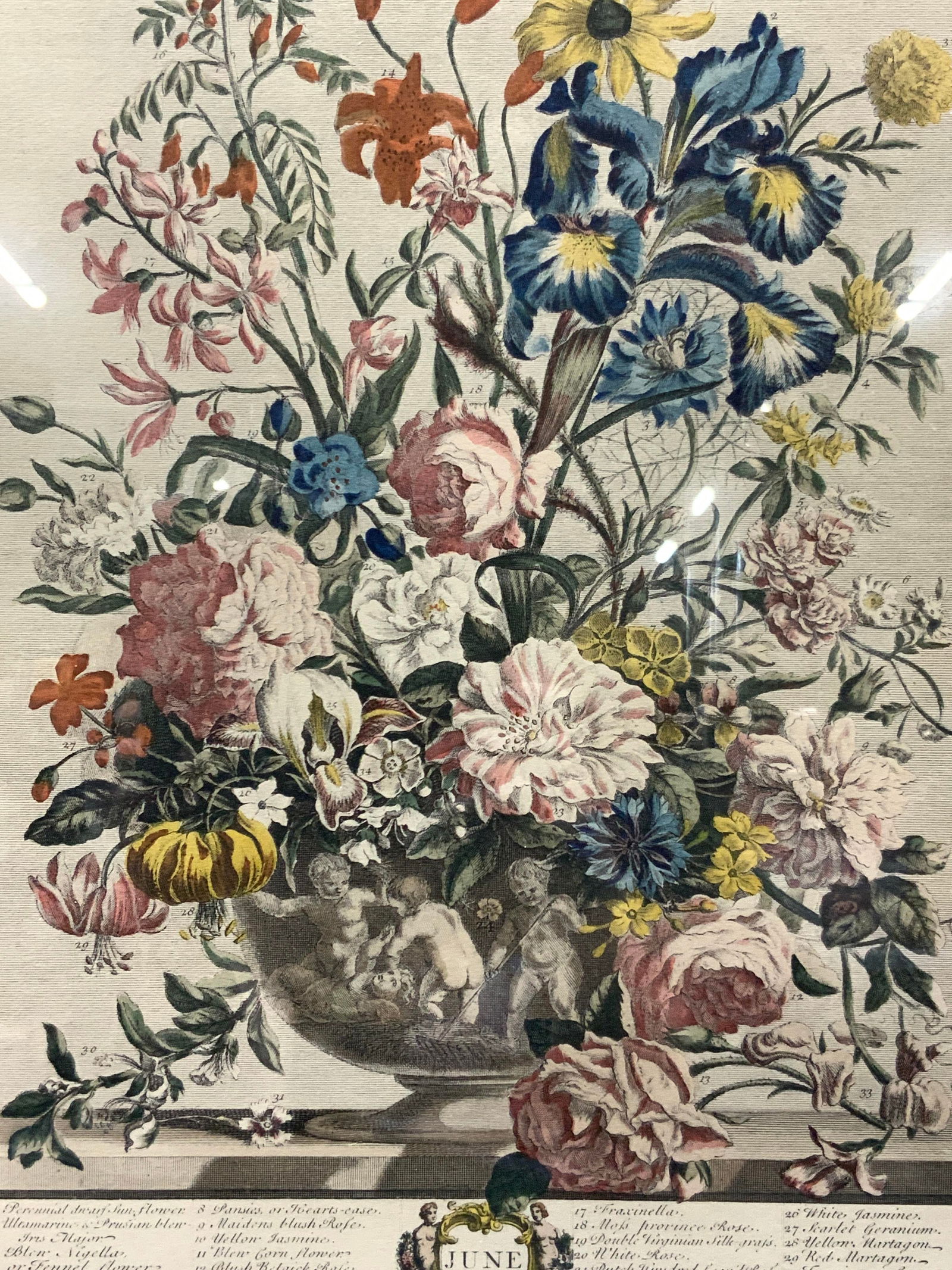 Vintage H Fletcher Flowers Color Block Etching (1 of 13)