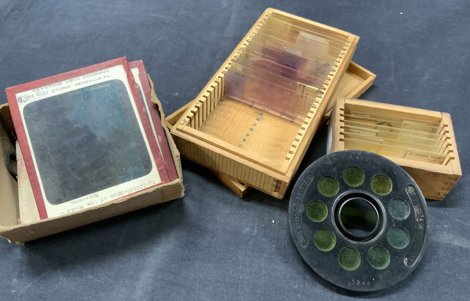 Antq Microscope Sample Slides & Stereoscope Lenses (1 of 9)