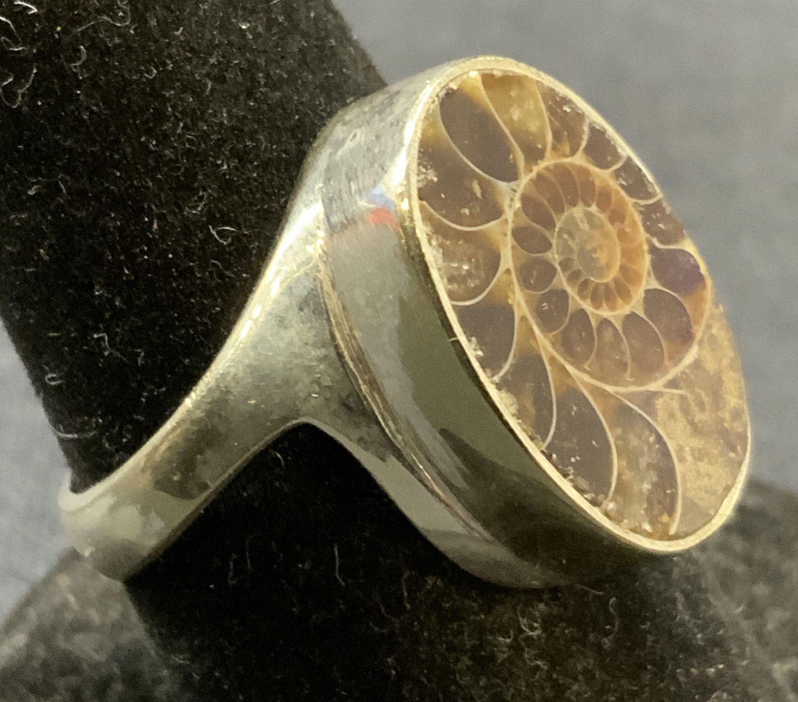 Vintage Silver Tone Ammonite Fossil Ring (1 of 6)