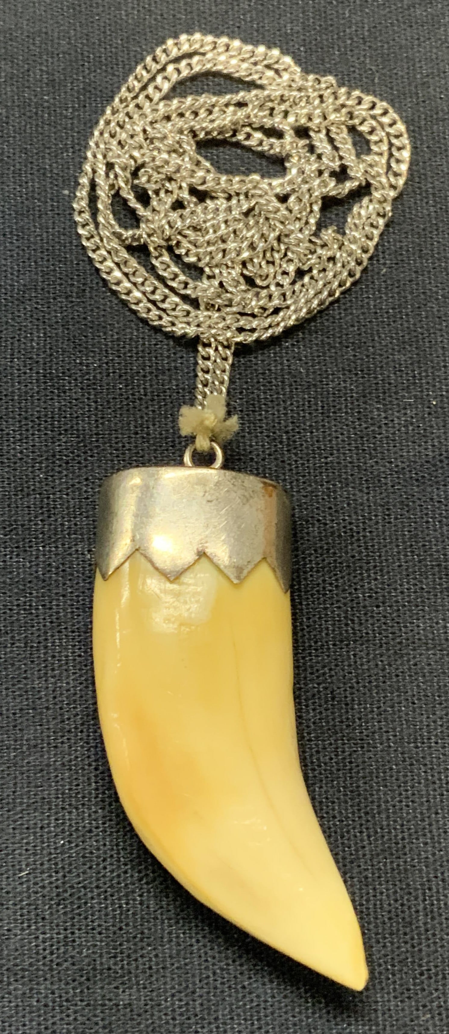 Antique Animal Claw Pendant Necklace (1 of 6)