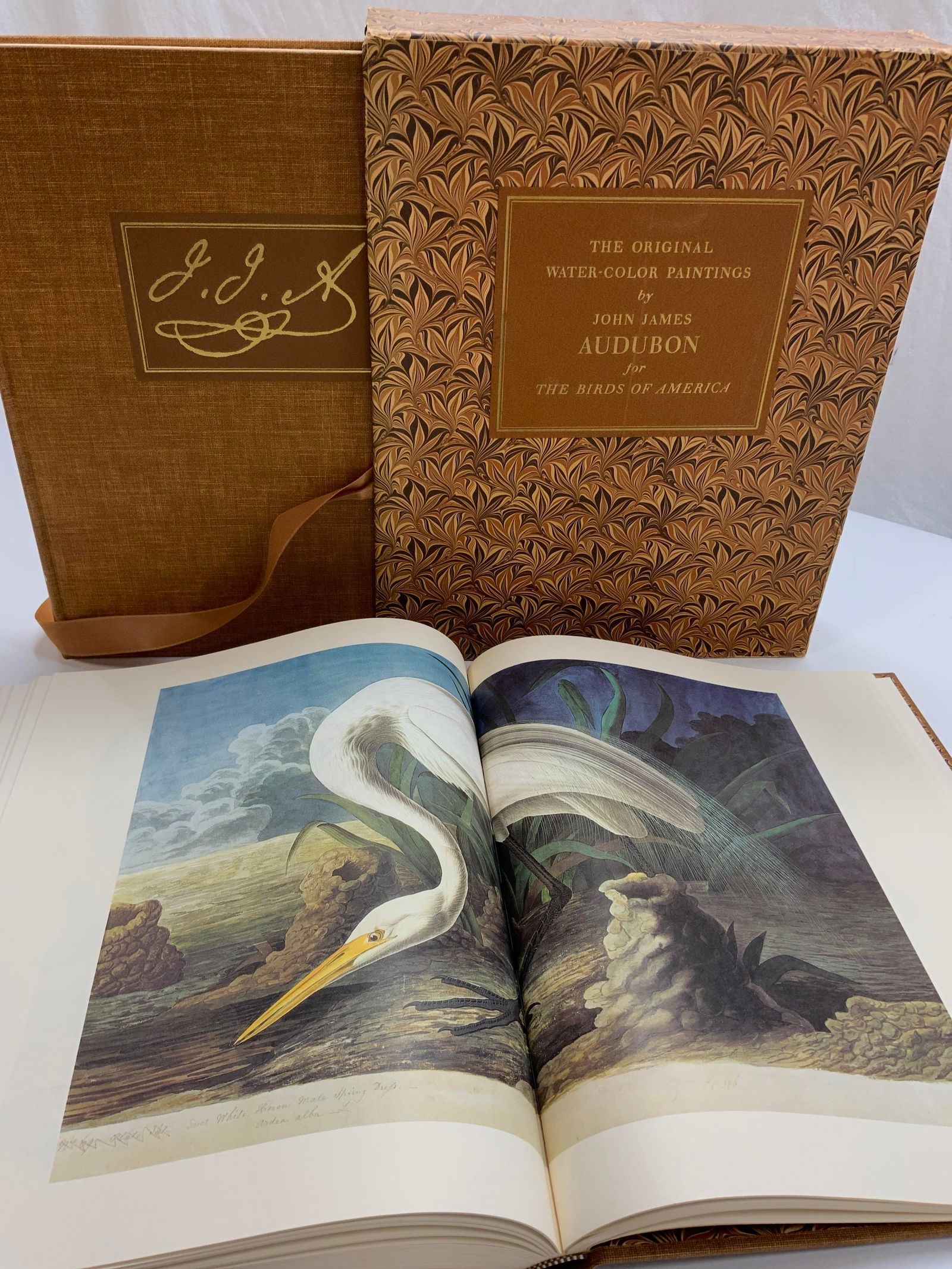 2Vol Birds America Watercolors J Audubon 1966 Illustrated (1 of 16)