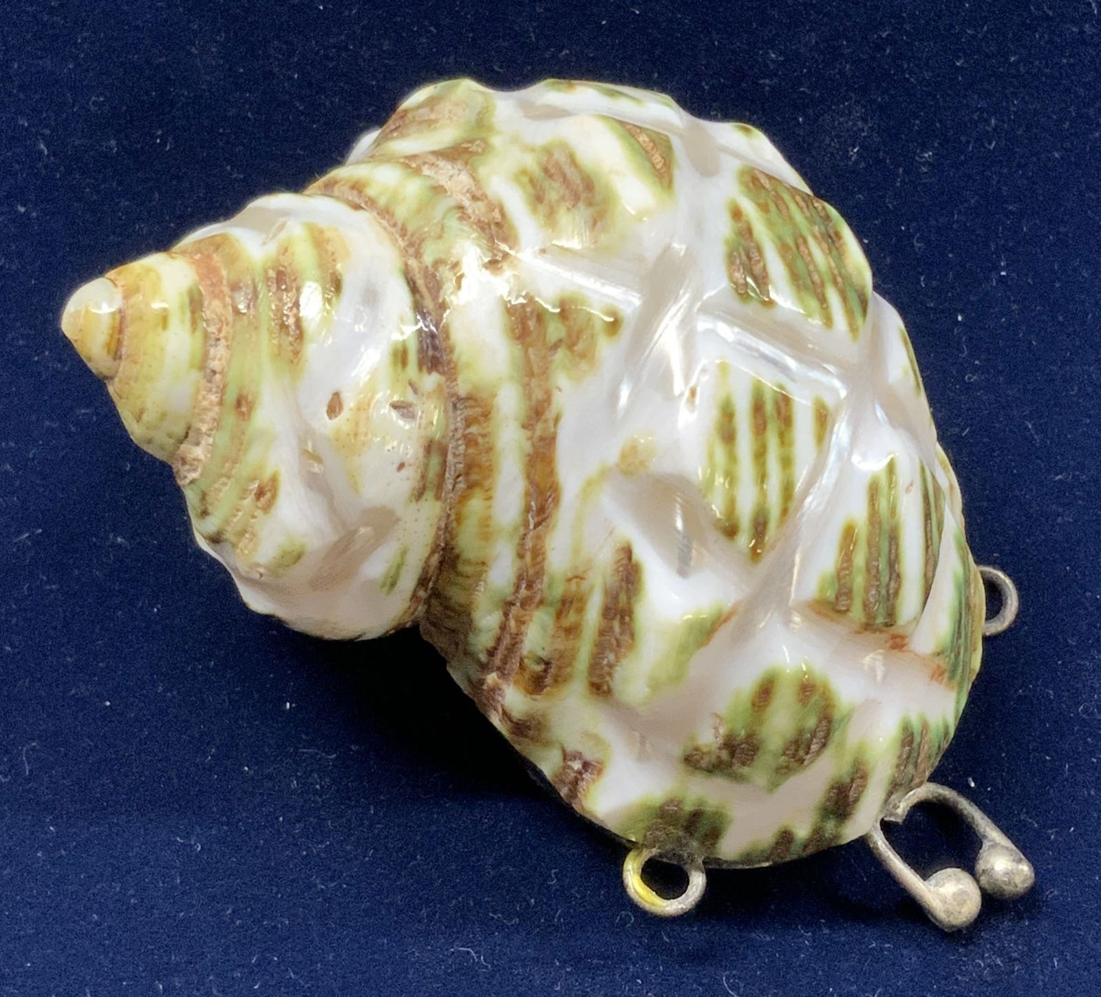 Hand Crafted Natural Shell Pill Box/ Pendant: Lacquered natural snail seashell with hinged kiss clasp opening. Measures 2 x 2 in. Loops on sides, add to chain to wear as a pendant. Property of Manhattan Estate DuPont Heir Pill Box Sea shell Penda