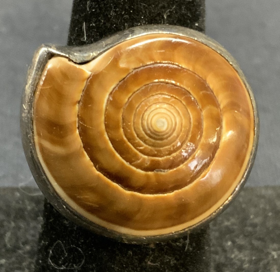 Vintage Sterling Silver Ammonite Fossil Ring: Vintage sterling silver and Ammonite fossil ring. Marked 925. Ring size 6.5. Total weight 22.4 grams. Some surface wear including scratching observed. Estate jewelry, fine jewelry, fashion jewelry, co