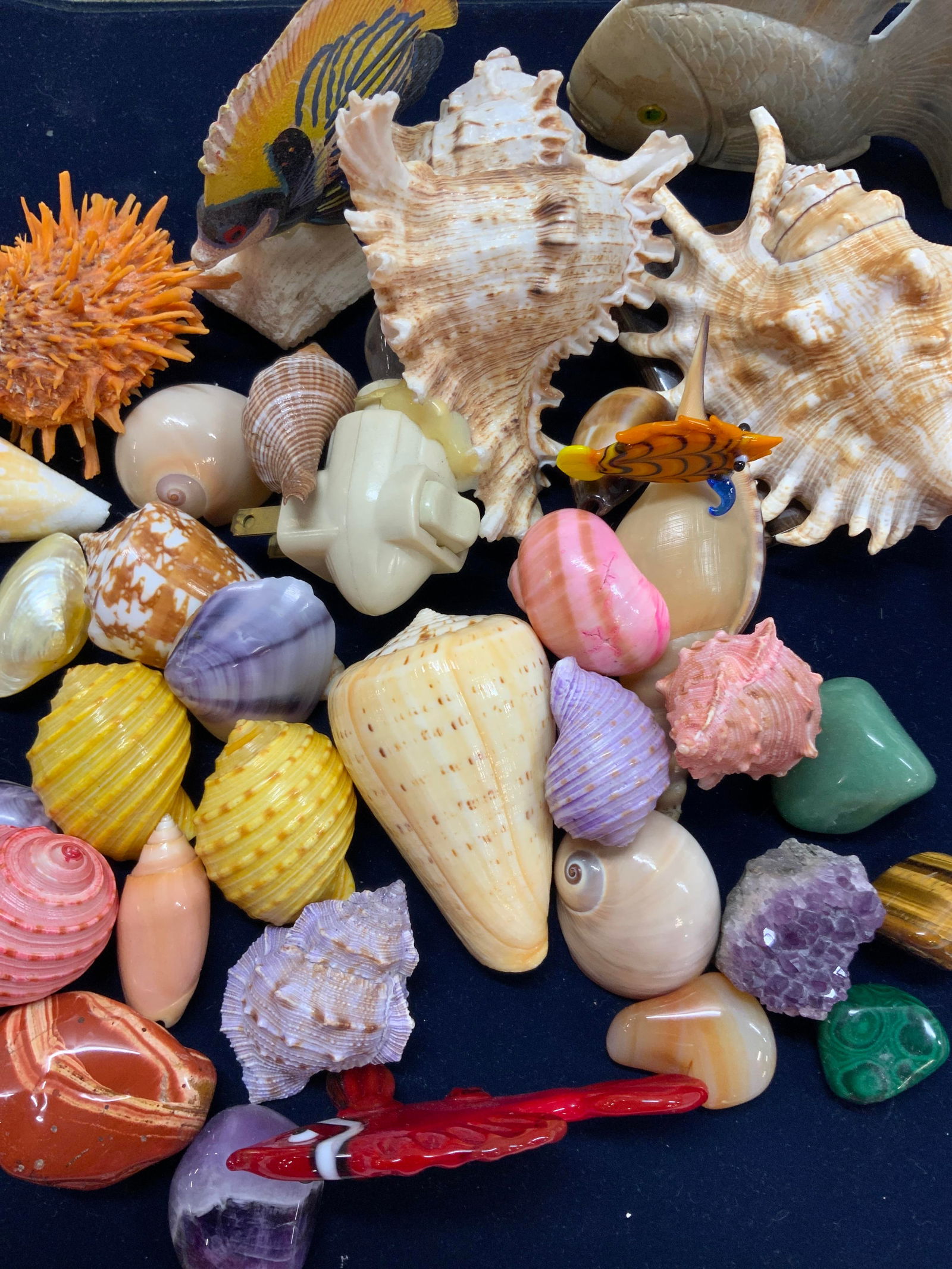 Group Lot Seashell and Gemstone Collectibles+ (1 of 7)