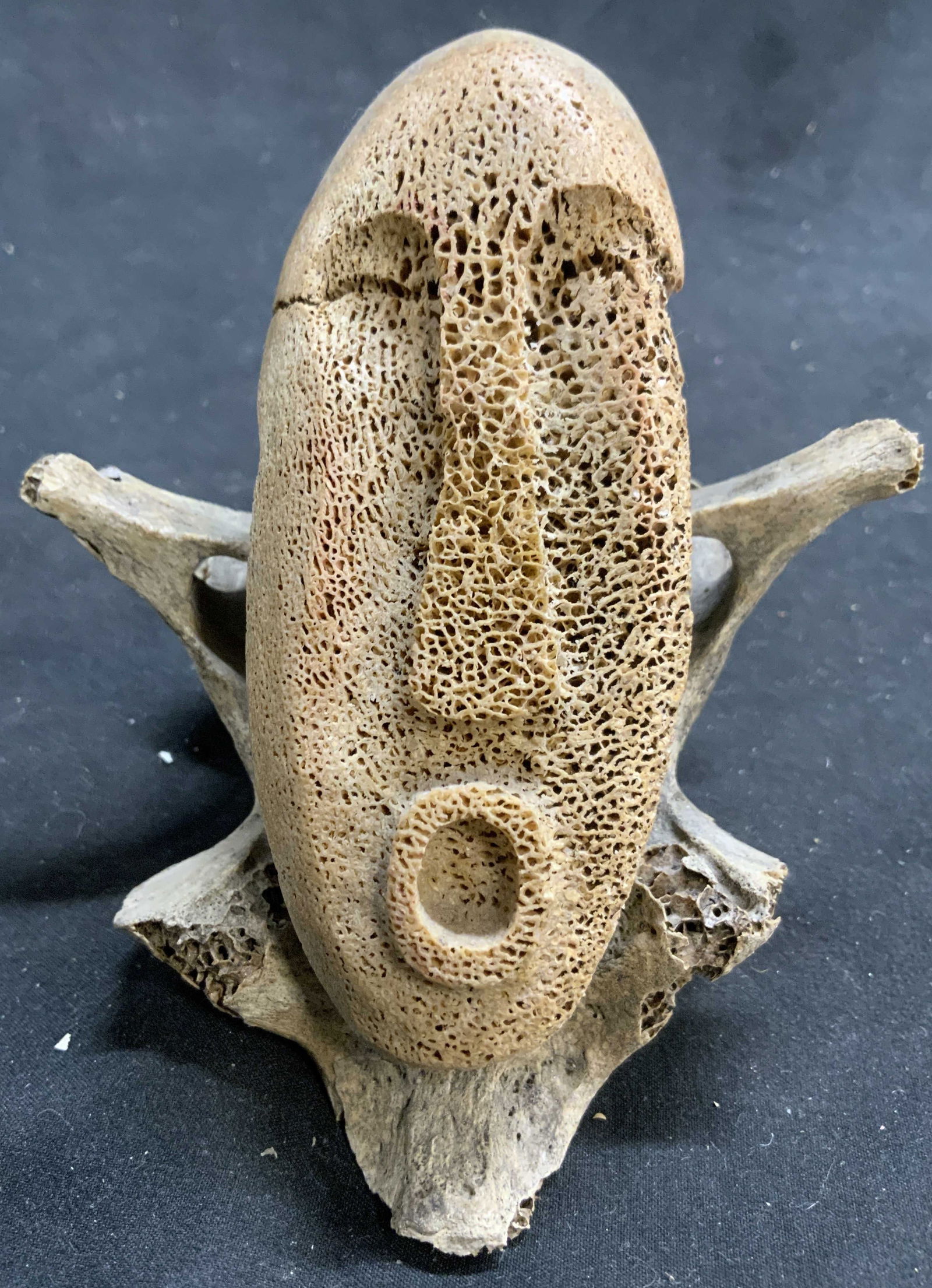 Porous Dried Sea Sponge Tribal Face Carving (1 of 7)