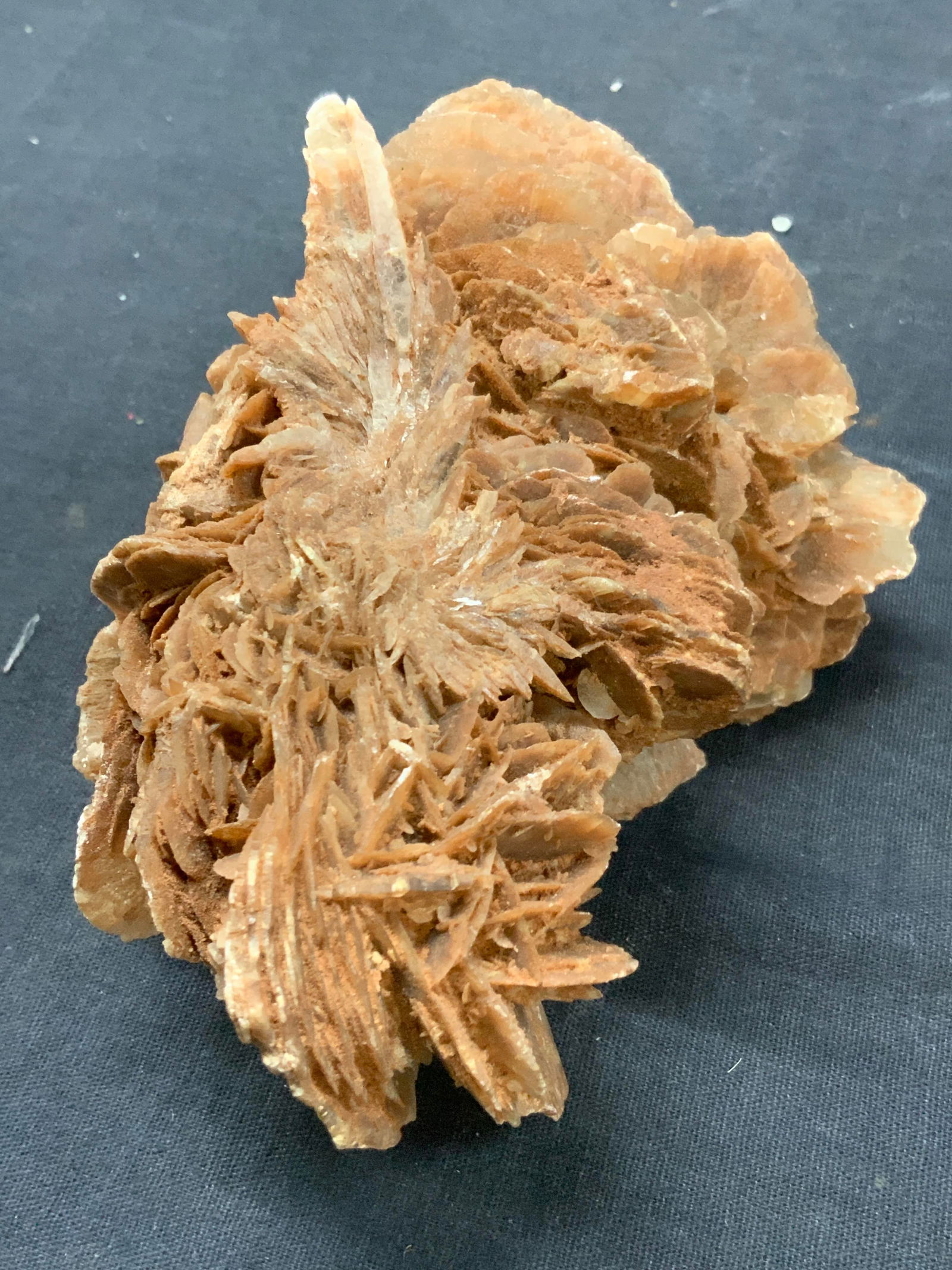 5 Inch Wide Desert Rose Stone Specimen (1 of 7)
